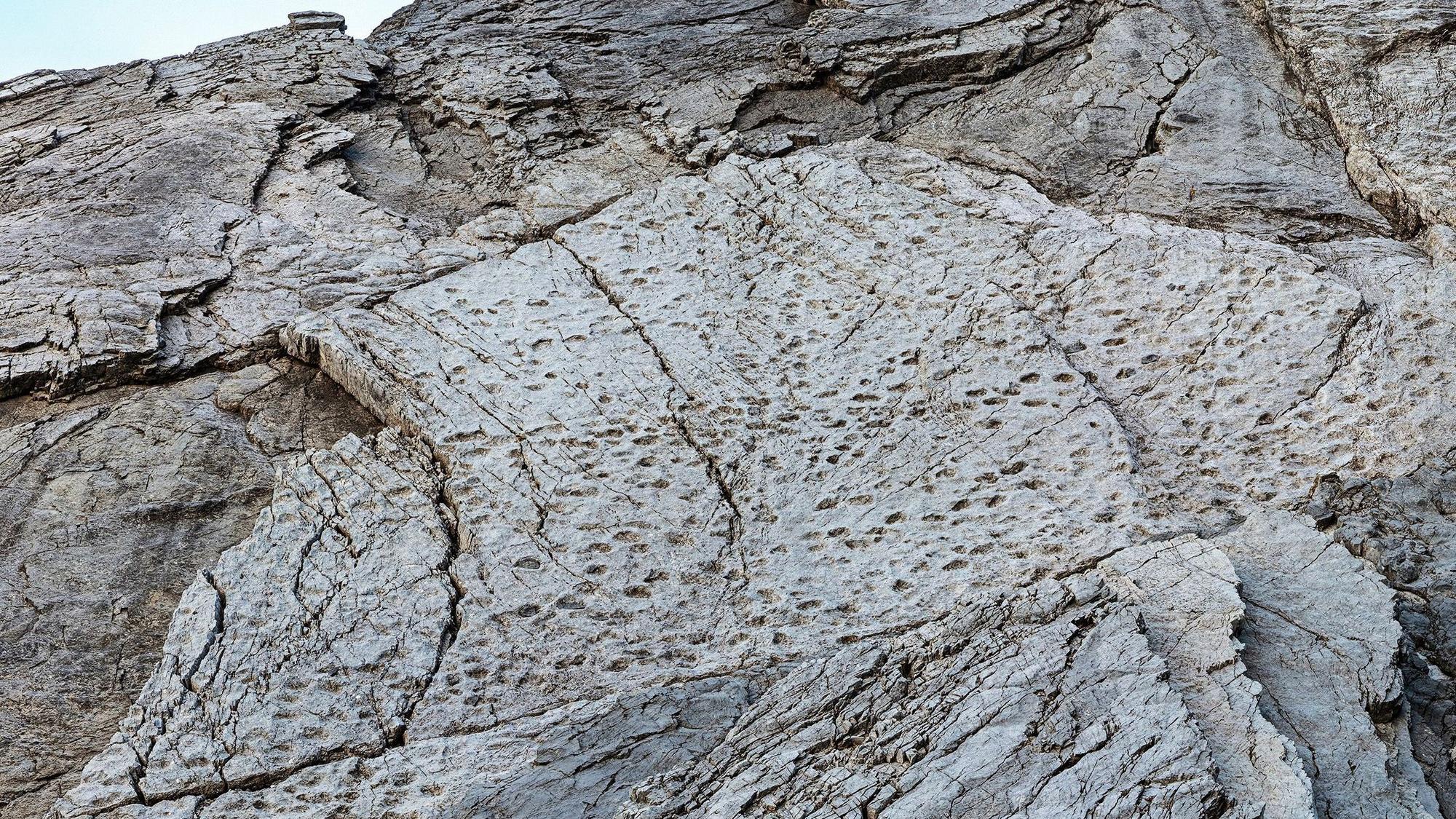 Dieses vom Stelvio National Park zur Verfügung gestellte Foto zeigt Fußabdrücke von Prosauropoden aus der späten Trias an den Hängen des Fraeel-Tals in Norditalien. (Aufnahme vom September 2025)