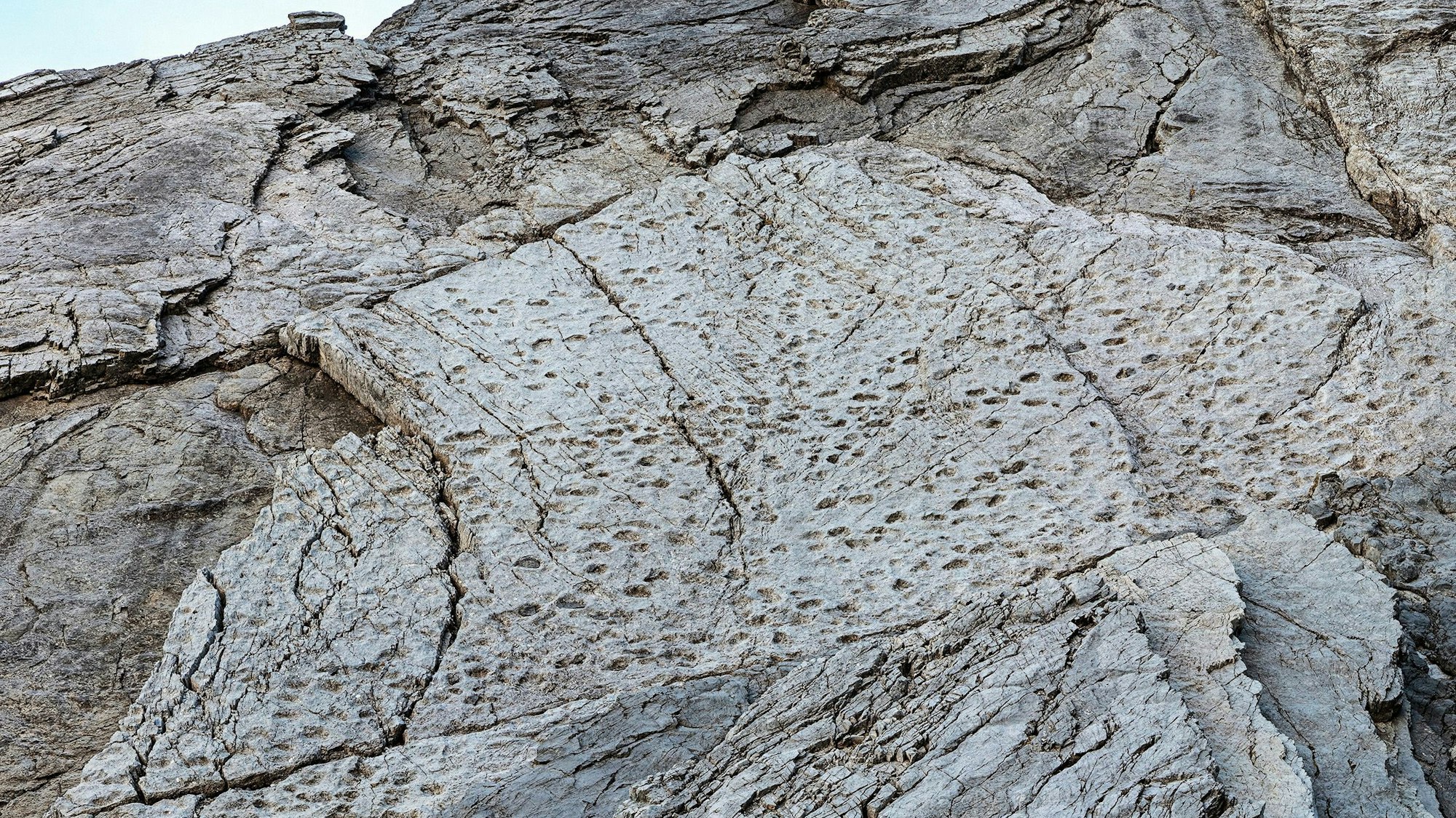 Dieses vom Stelvio National Park zur Verfügung gestellte Foto zeigt Fußabdrücke von Prosauropoden aus der späten Trias an den Hängen des Fraeel-Tals in Norditalien. (Aufnahme vom September 2025)