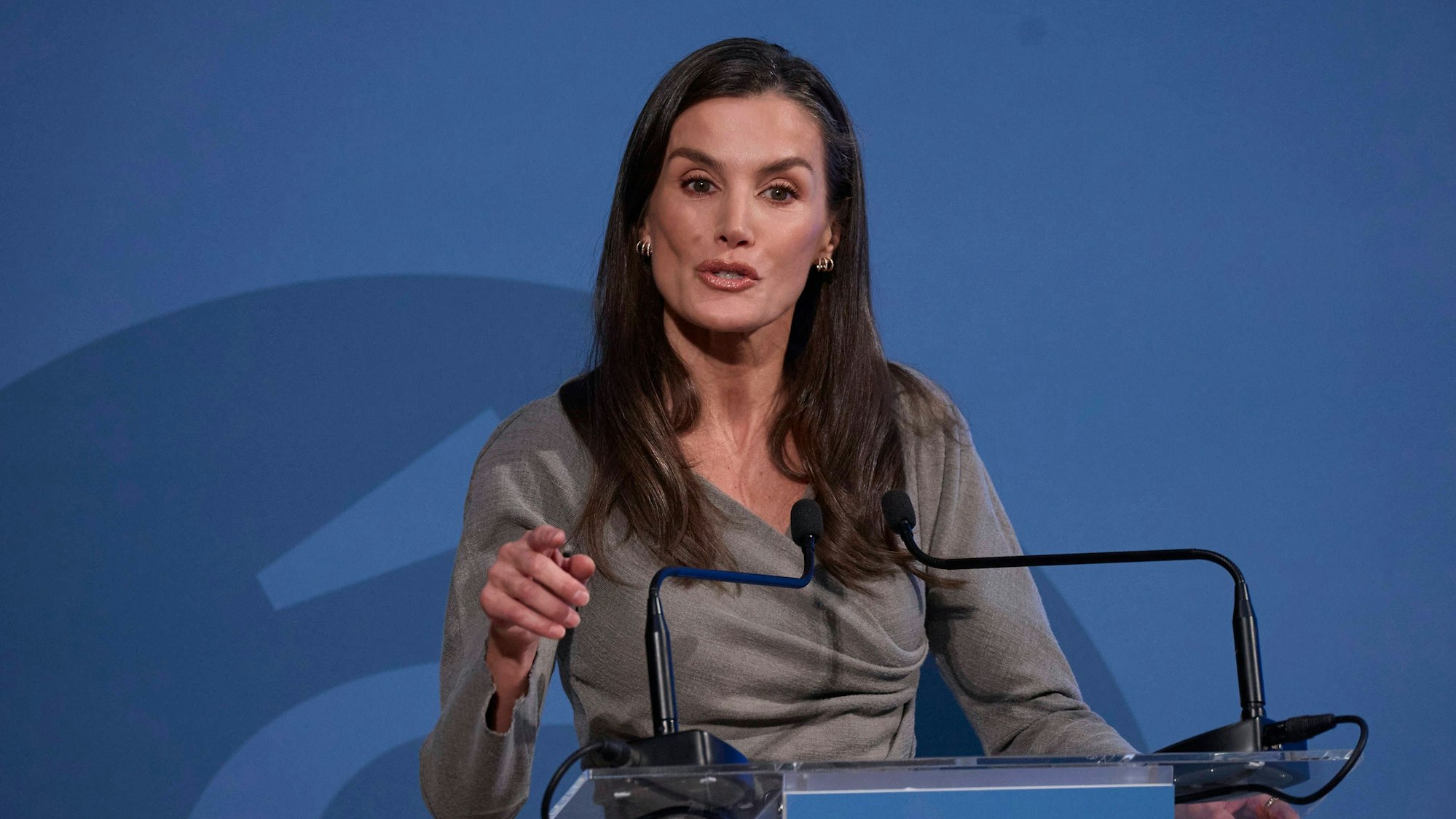 Königin Letizia spricht bei einer Veranstaltung