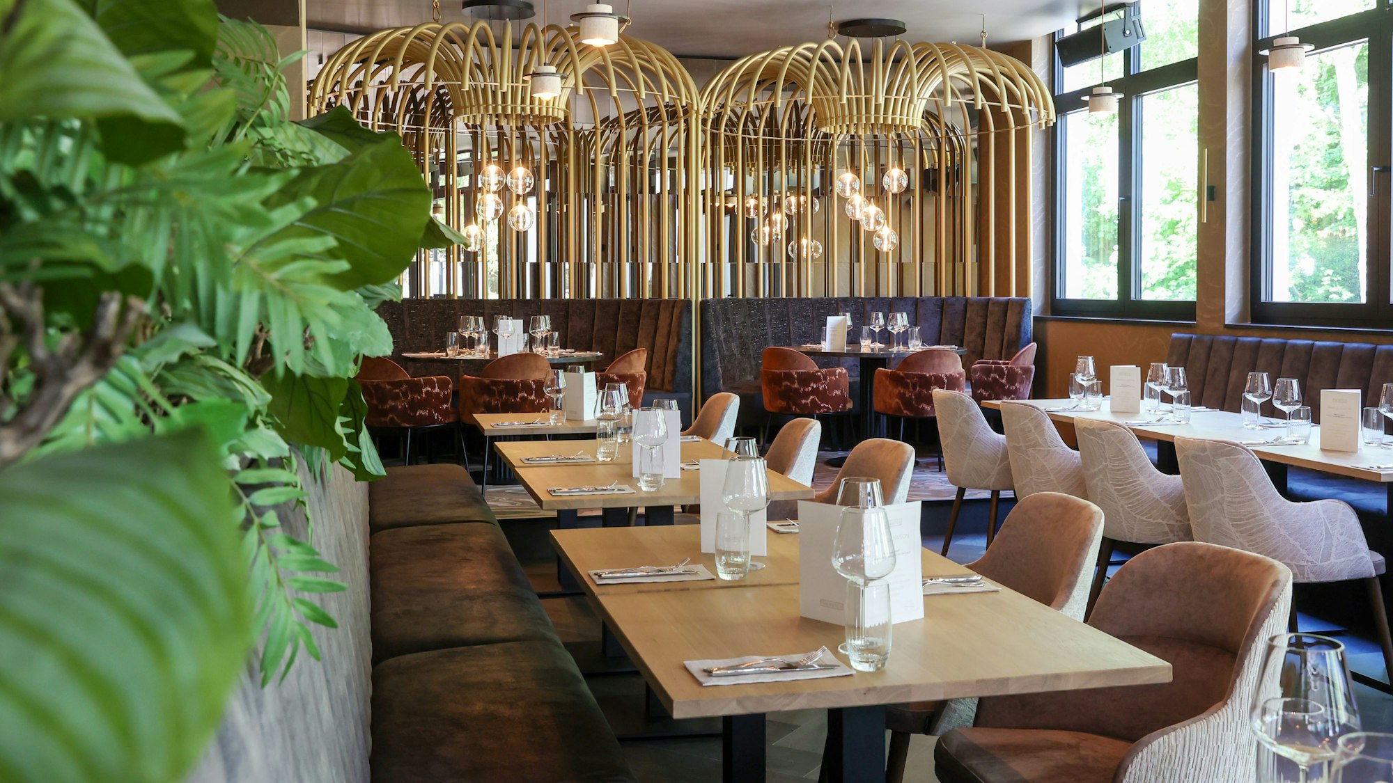 Ein Blick ins Restaurant The Dutch in Köln mit hellen Tischen und gepolsterten Bänken und Stühlen.