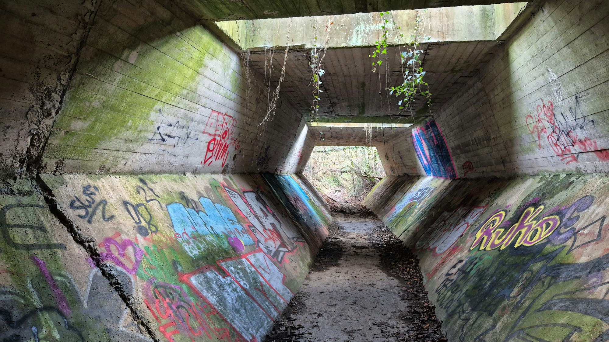 Rund 50 Meter erstreckt sich der „Lost Place“ am Rande von Bonn-Friesdorf.