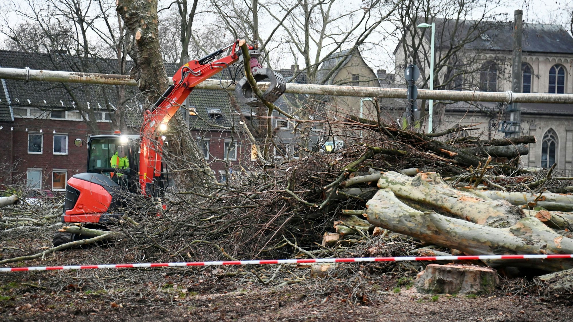 Baumfällarbeiten an der Löwengasse für die Interims-Feuerwache.