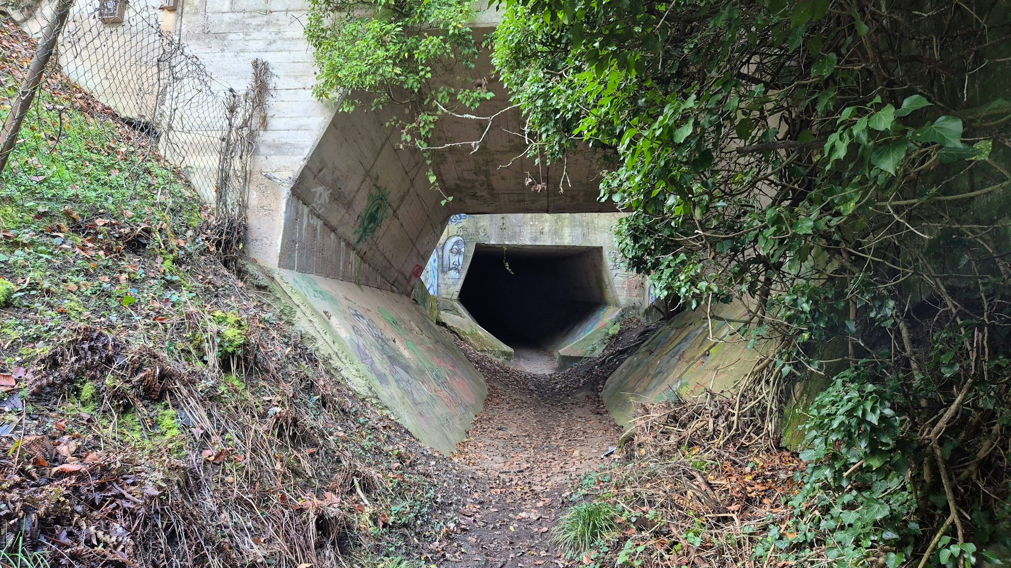 Am Rande des Siedlungsgebietes in Bonn-Friesdorf stößt man plötzlich auf den „Lost Place“.