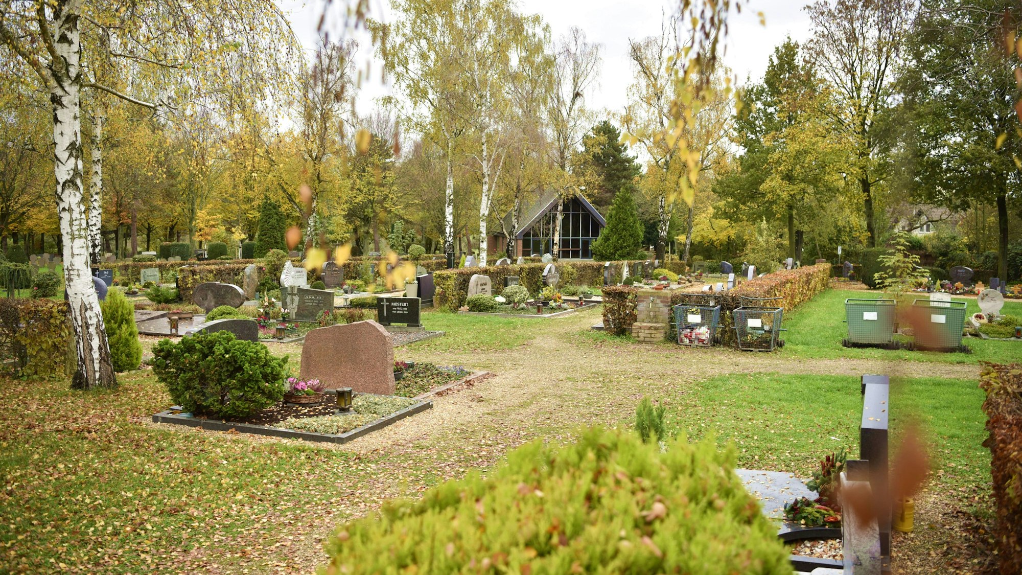 Das Bild zeigt Gräberreihen auf dem Zülpicher Friedhof.
