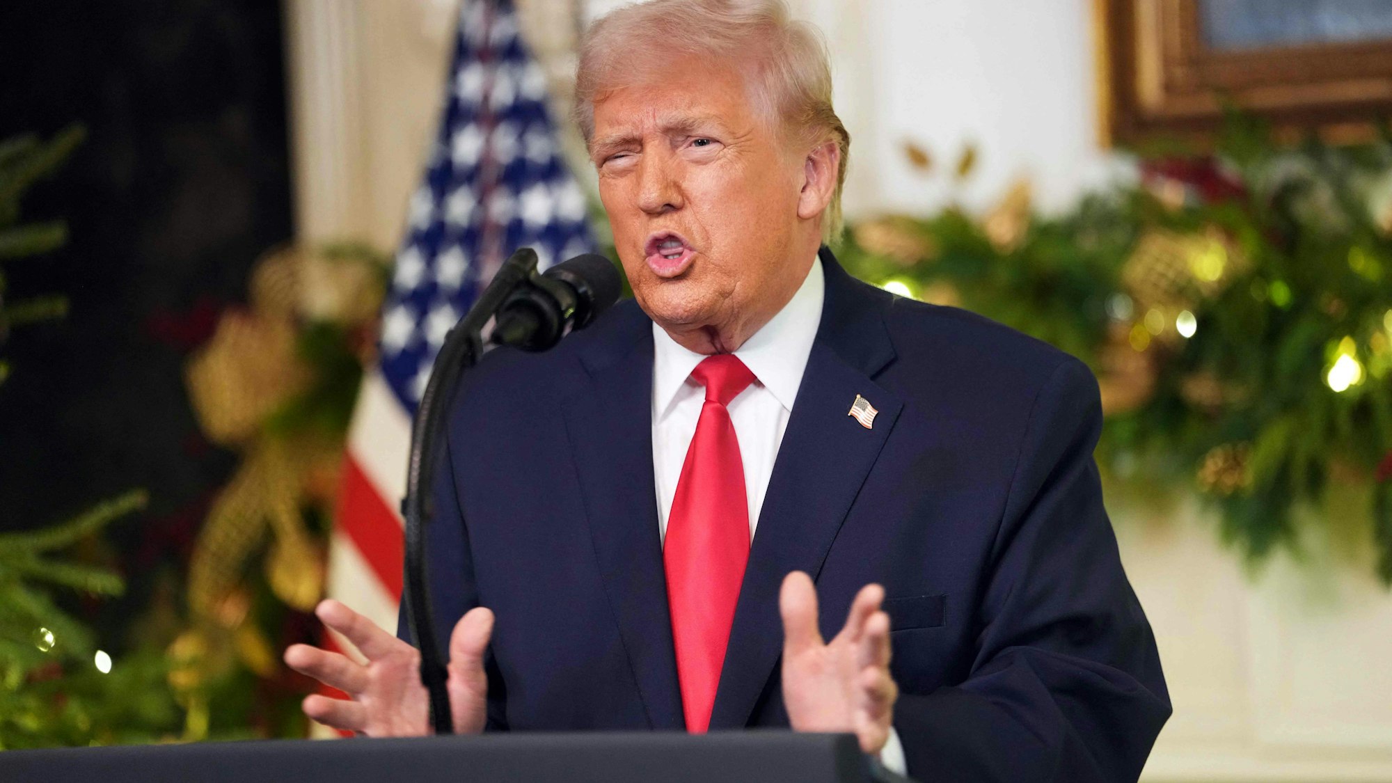 Donald Trump spricht zu den US-Bürgerinnen und US-Bürgern.