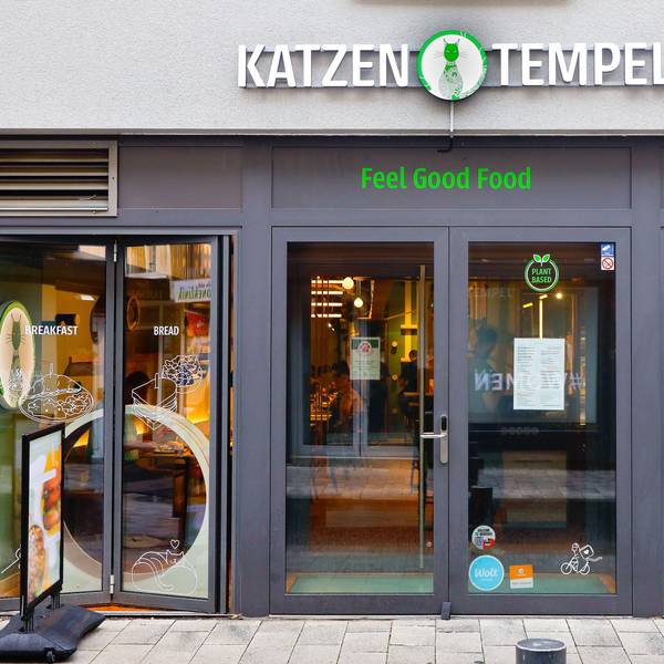 Der Katzentempel an der Severinstraße hatte 2023 eröffnet. Jetzt haben die Betreiber aufgegeben. (Archivbild)