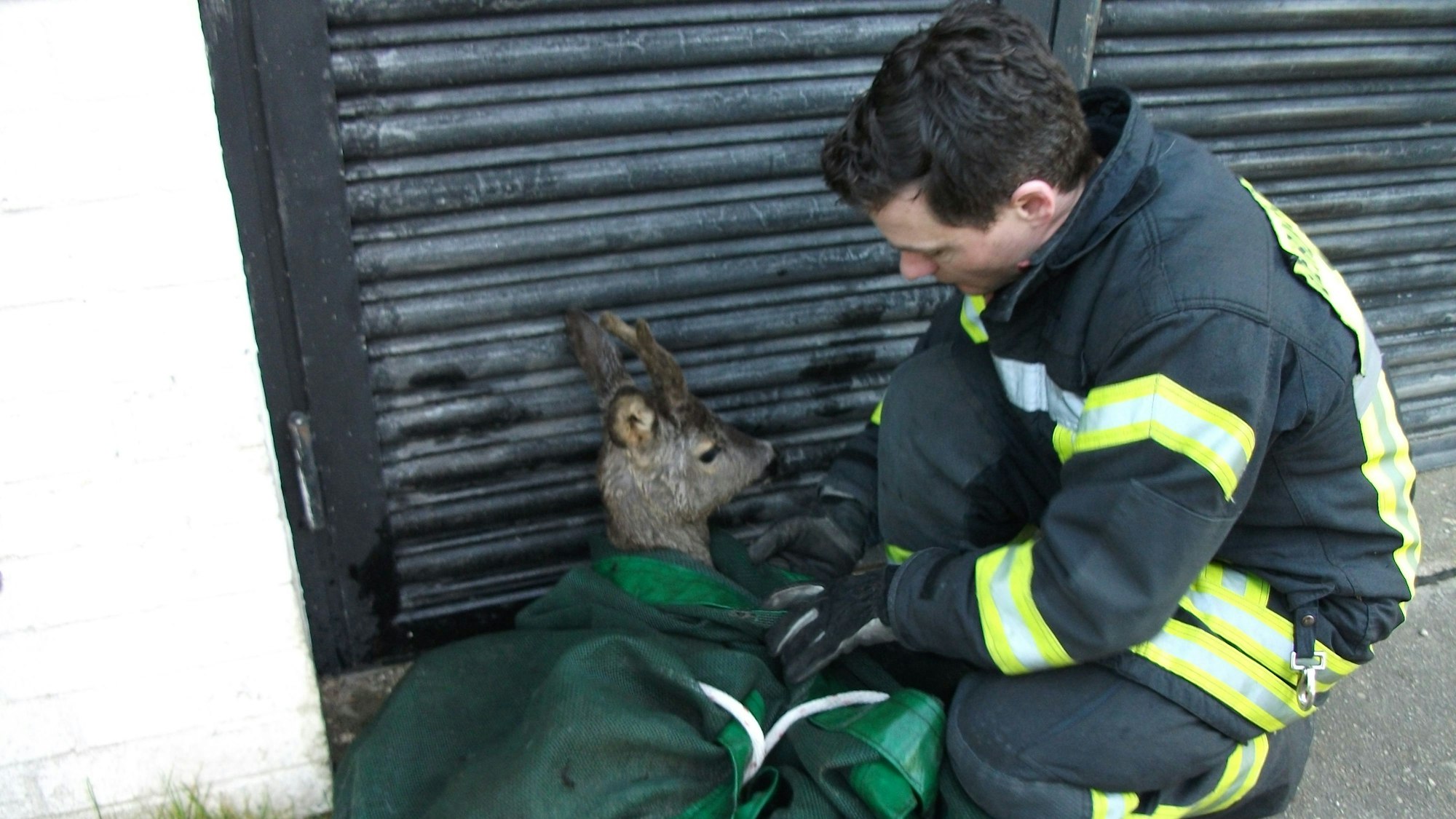 Ein Feuerwehrmann beruhigt eine aus einem Kanal gerettetes Reh.