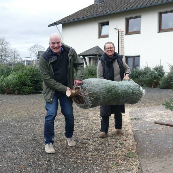 Ein Ehepaar trägt einen verpackten Weihnachtsbaum nach Hause.