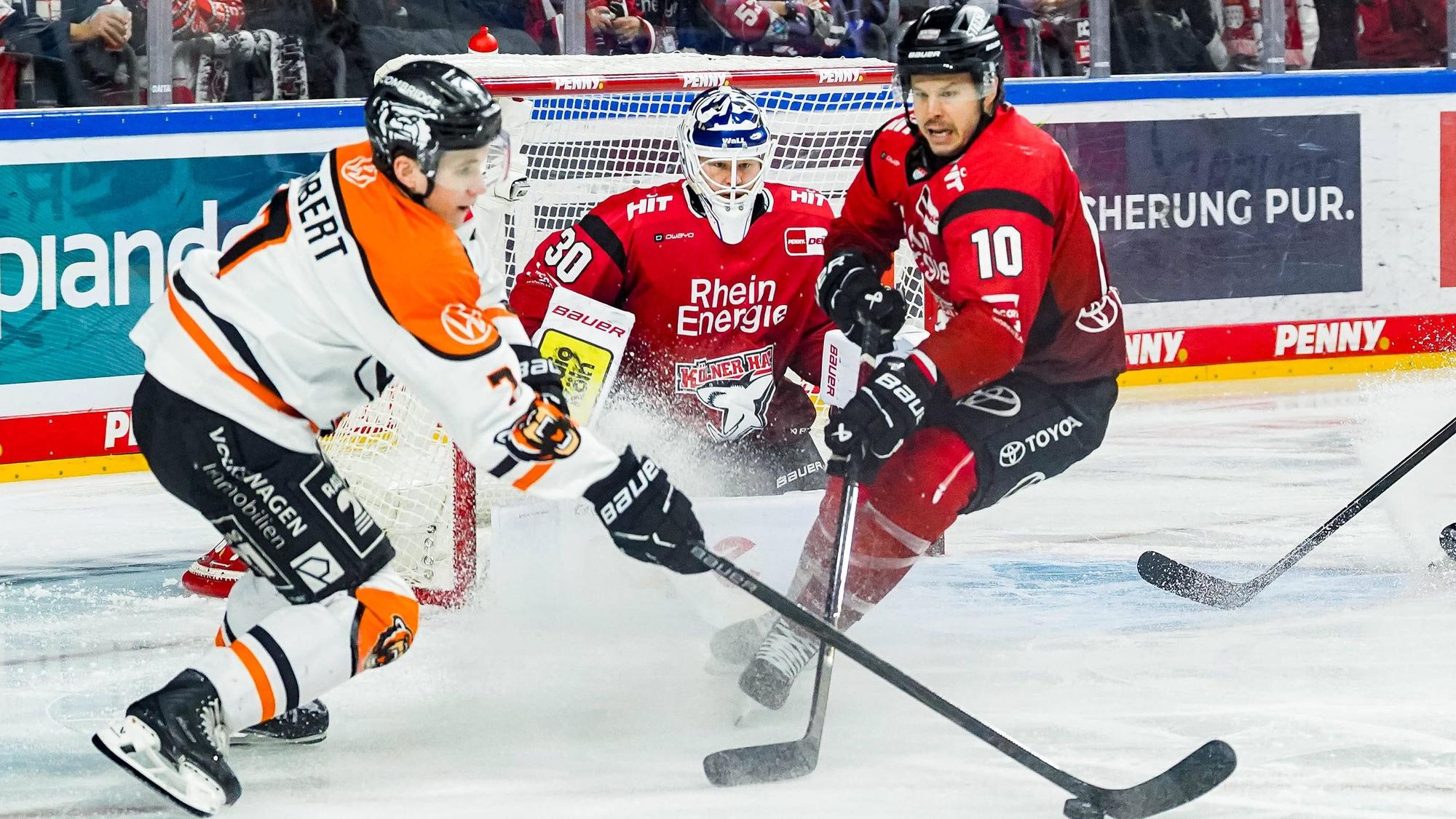 Haie-Goalie Janne Juvonen hat sich in den vergangenen Wochen zu einer Stütze der Kölner Mannschaft entwickelt.