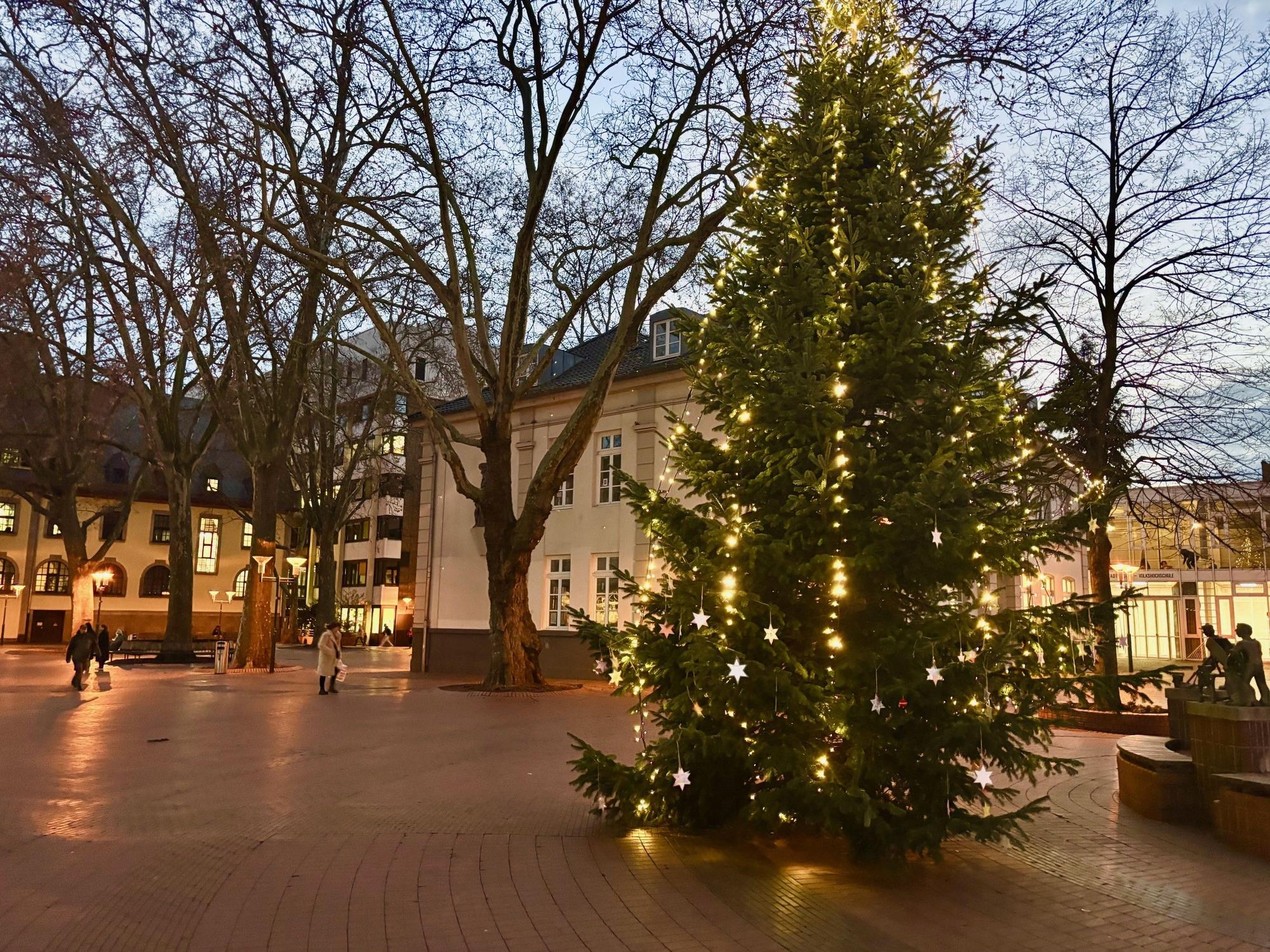 Auf dem Bild ist ein Platz mit einem beleuchteten Weihnachtsbaum zu sehen.