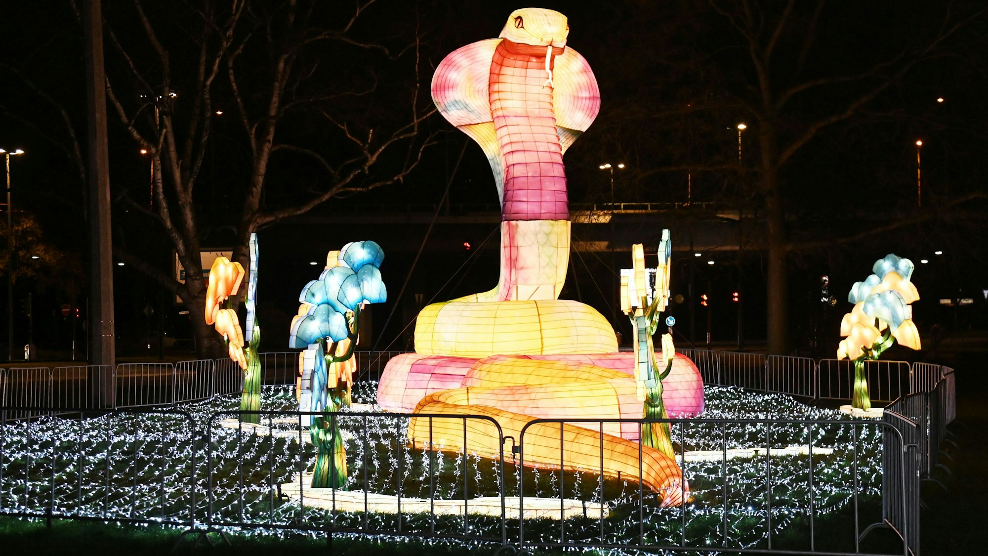 Eine leuchtende Schlange bei China Lights 2025 im Kölner Zoo.