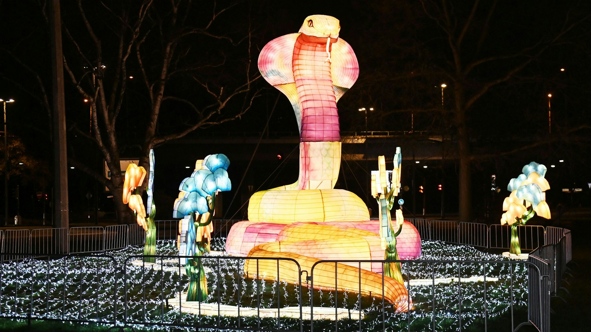 Eine große Schlange leuchtet in rot und gelb.