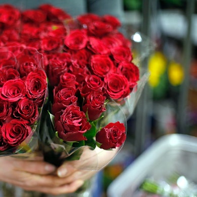 Zu sehen ist ein Strauß Rosen.