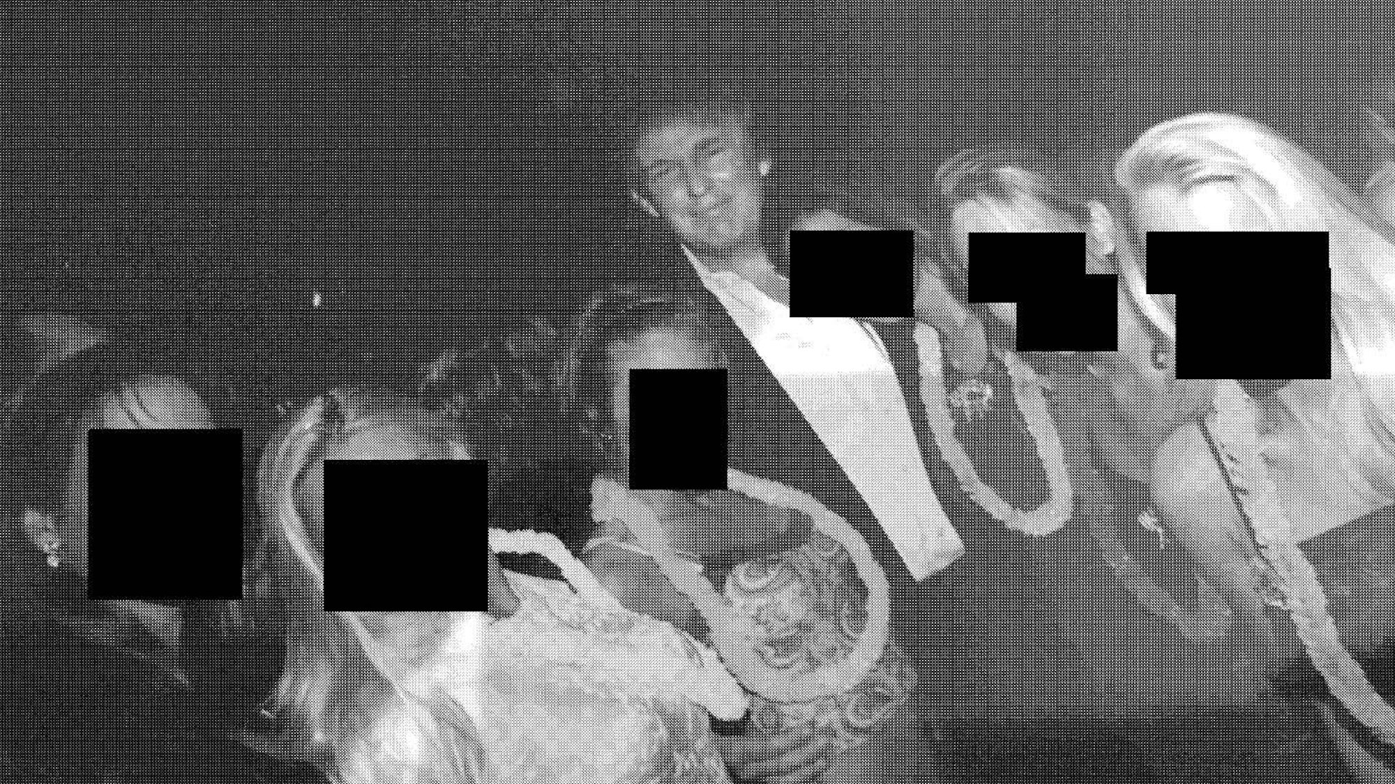 Dieses undatierte Foto aus der persönlichen Sammlung von Jeffrey Epstein, das am 12. Dezember 2025 von den Demokraten im Aufsichtsausschuss des Repräsentantenhauses zur Verfügung gestellt wurde, zeigt US-Präsident Donald Trump (Mitte) zusammen mit einer Gruppe von Frauen, die hawaiianische Blumenketten tragen.