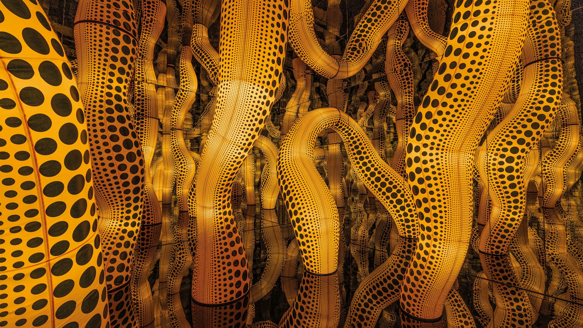 Ein verspiegelter Raum wird durch gepunktete Tentakel erfüllt.