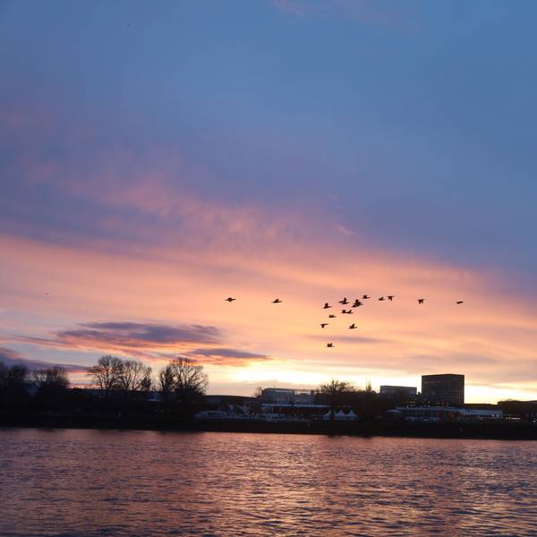Sonnenaufgang im Dezember am Rhein entlang der Bastei.