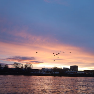 Sonnenaufgang im Dezember am Rhein entlang der Bastei.