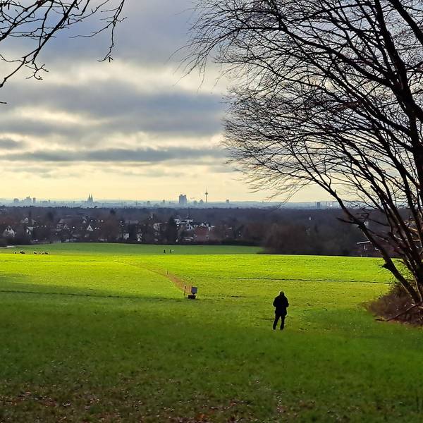 Über eine in der Sonne liegenden Wiese ist Bergisch Gladbach-Paffrath und am Horizont Köln zu sehen.