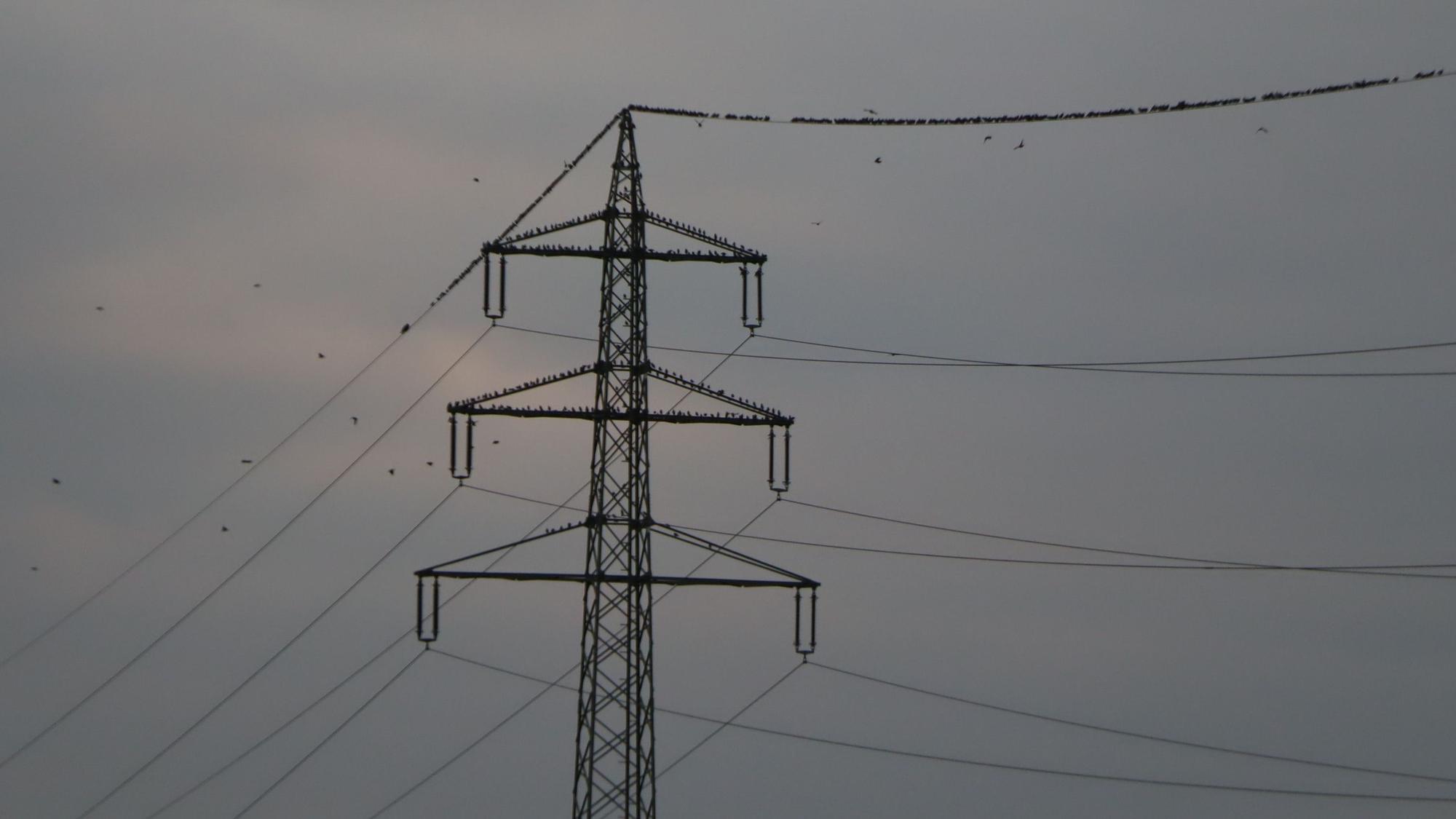 Zu sehen ist ein Strommast.