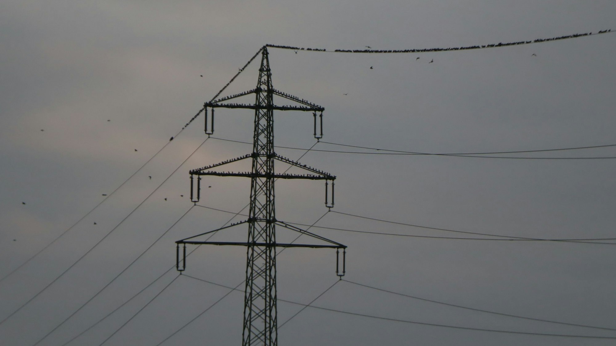 Zu sehen ist ein Strommast.