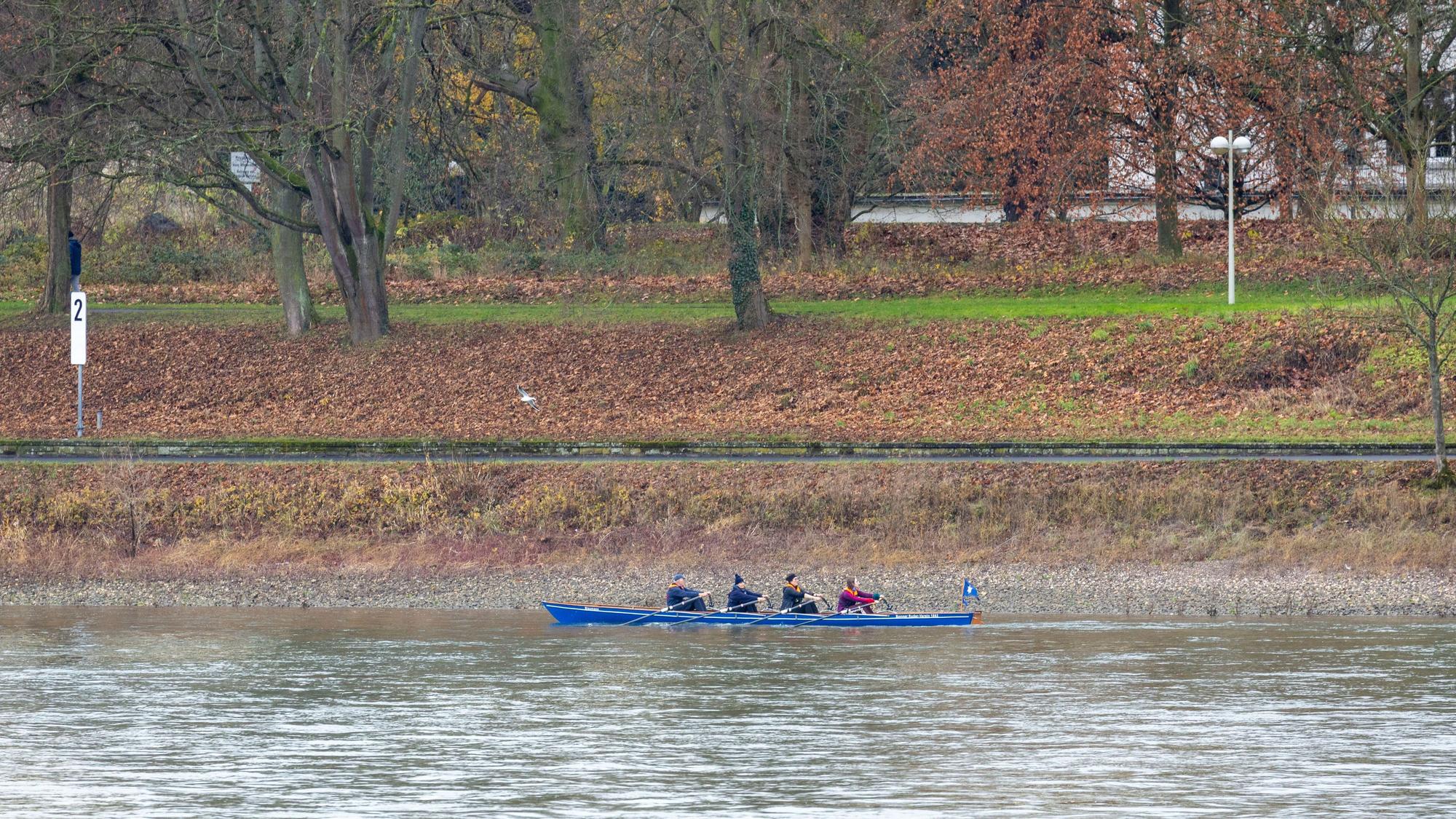Ruderer sind auf dem Rhein unterwegs. (Symbolbild)