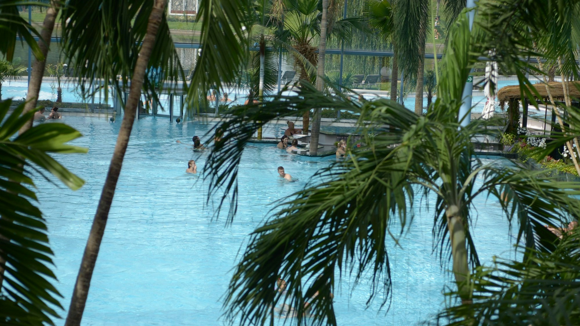 Blick auf den von Palmen umsäumten Schwimmbadbereich der Euskirchener There.