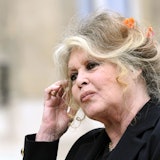Brigitte Bardot stieg in den 1970er Jahren nach einer zwanzigjährigen Karriere aus dem Filmgeschäft aus, um sich dem Tierschutz zu widmen. (Archivbild)