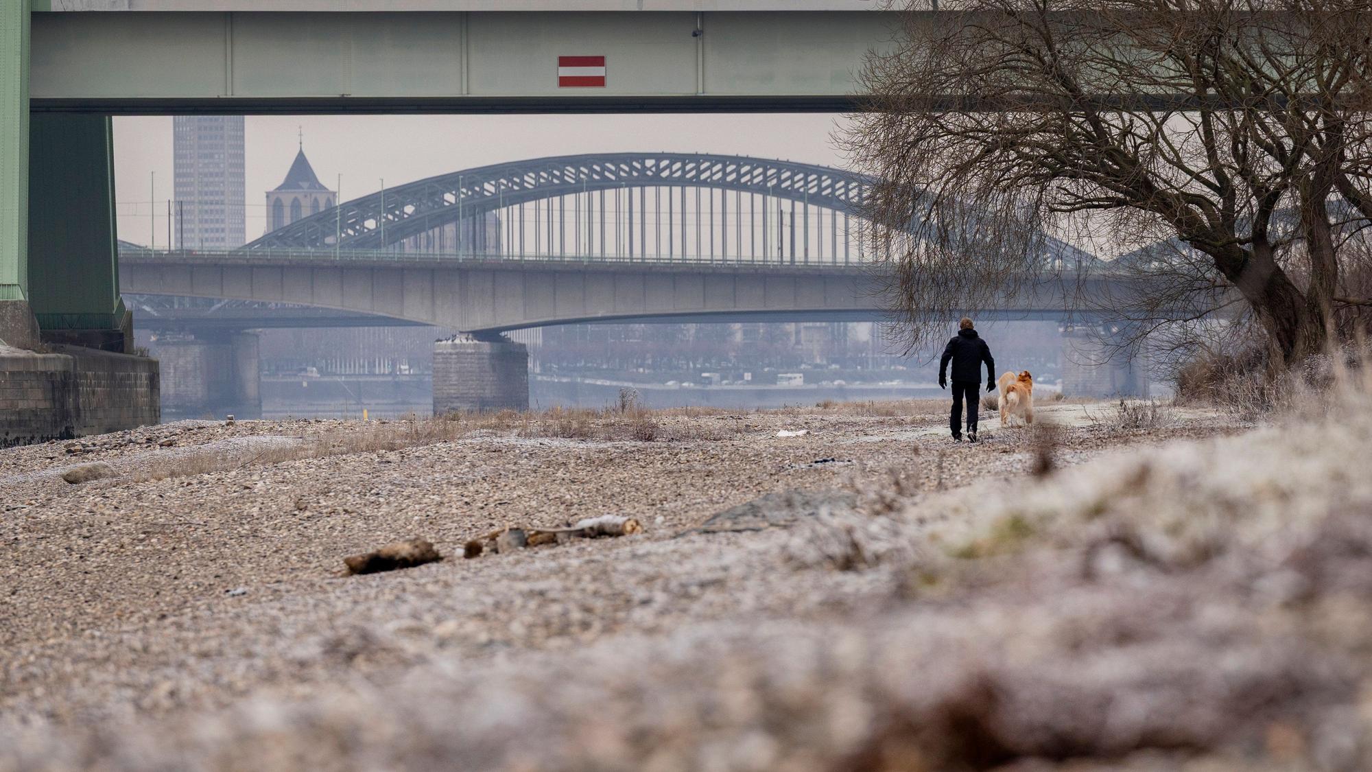 Das Bild zeigt die Poller Wiesen in Köln.
Foto: Michael Bause