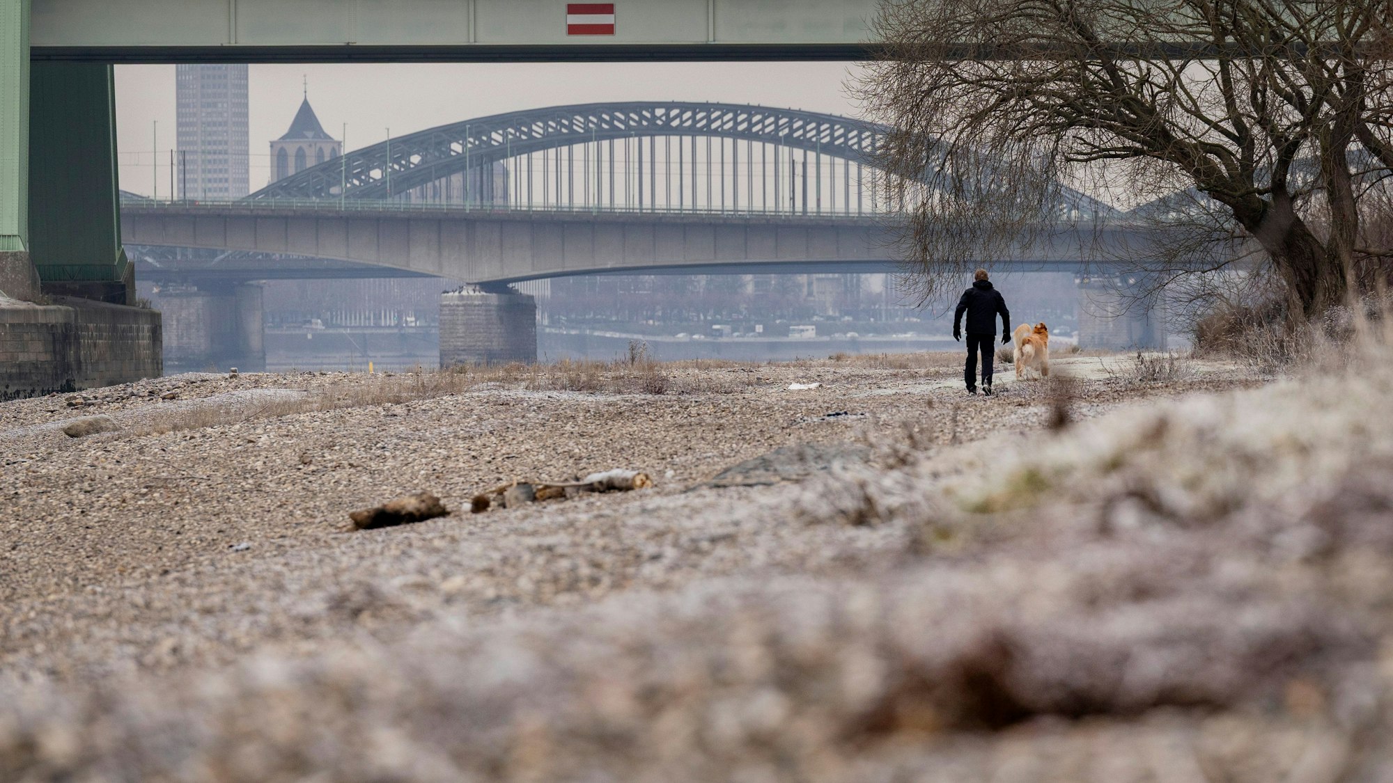 29.12.2025, Köln: Winterliches, kaltes Wetter in Köln.
Gesehen an den Poller Wiesen.