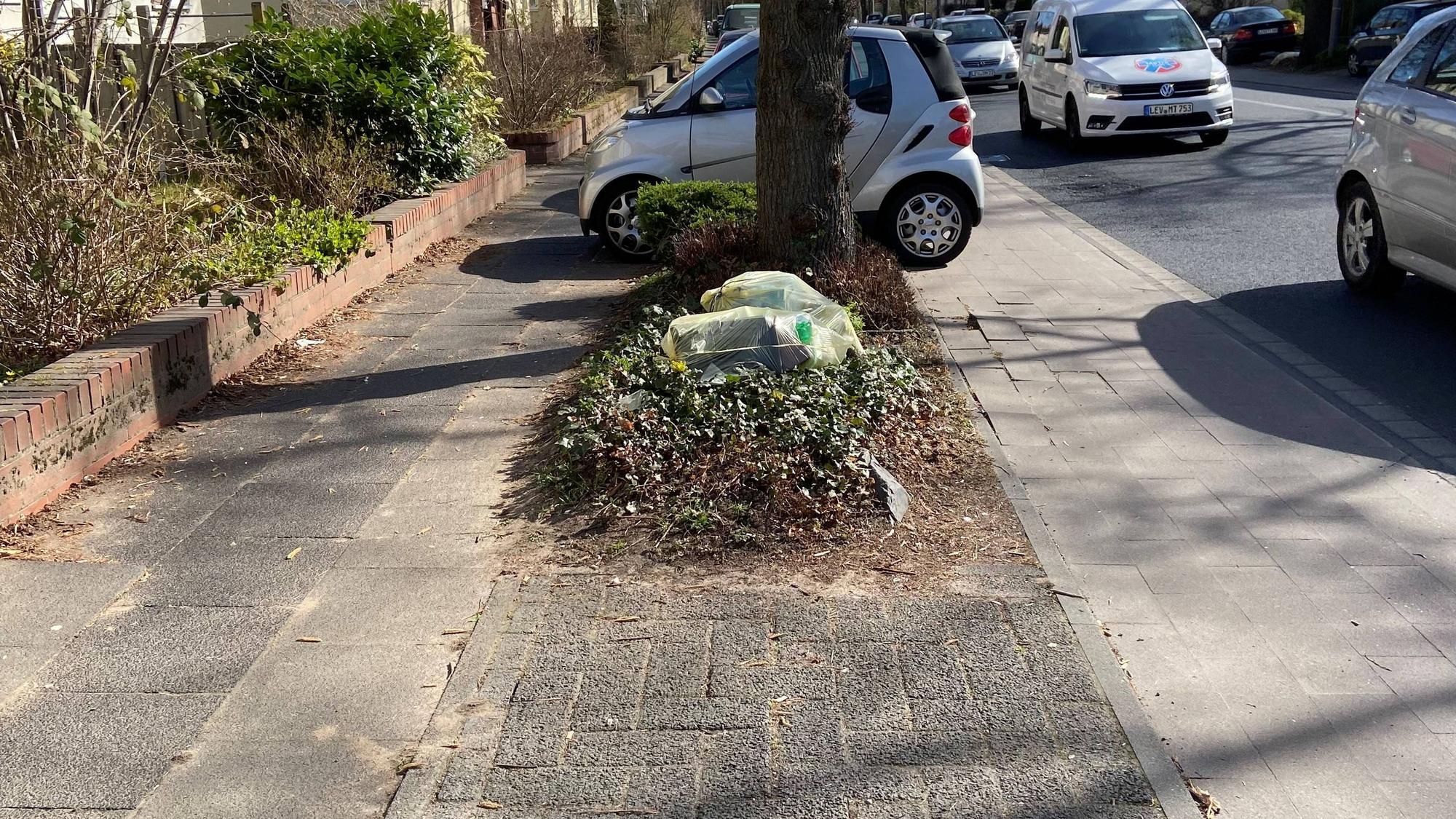 Die Aufteilung zwischen Autos, Bussen, Radlern, Fußgängern und Parkplätzen an der Rathenaustraße bereitet oft Probleme.