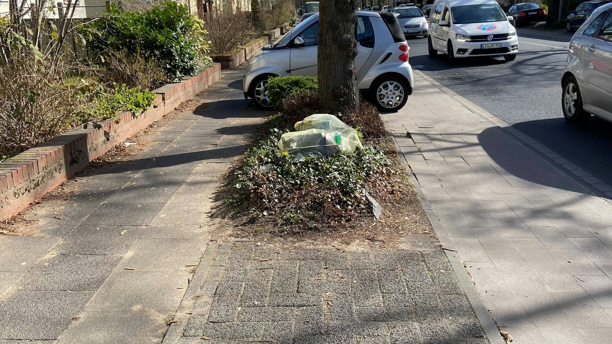 Die Aufteilung zwischen Autos, Bussen, Radlern, Fußgängern und Parkplätzen an der Rathenaustraße bereitet oft Probleme.