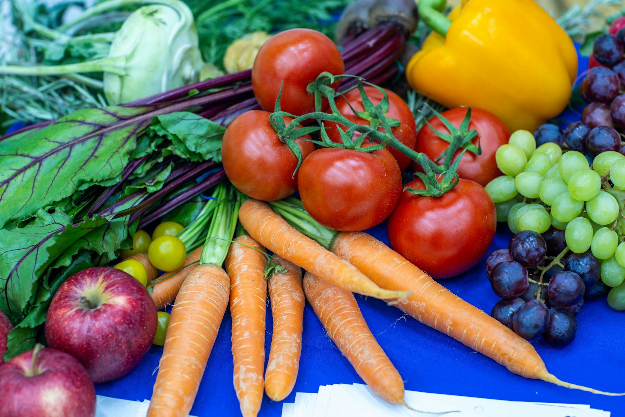 Gemüse und Obst wie Äpfel, Möhren, Trauben und Tomaten auf einem Haufen.