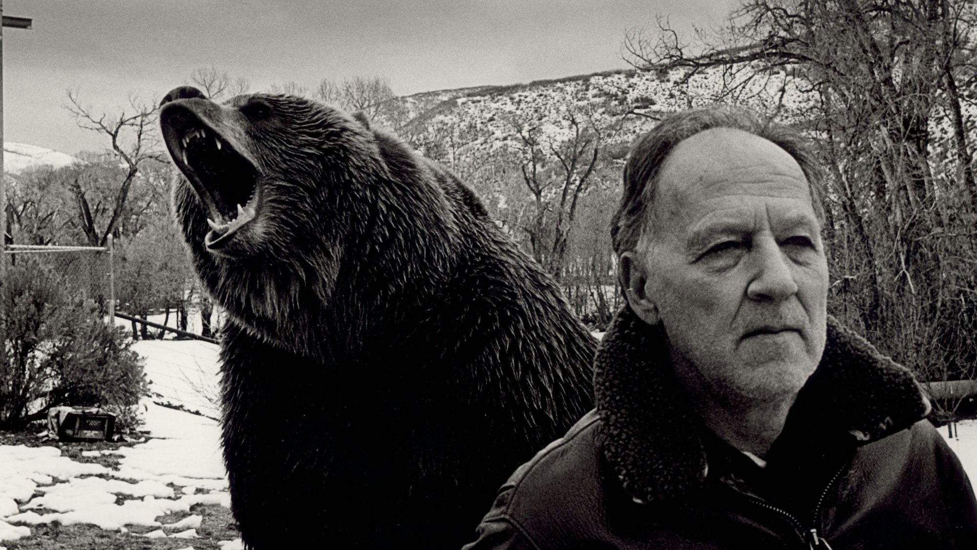 Das Bild zeigt Werner Herzog am Set des Films „Grizzly Man“. Foto:IMAGO / EntertainmentPictures