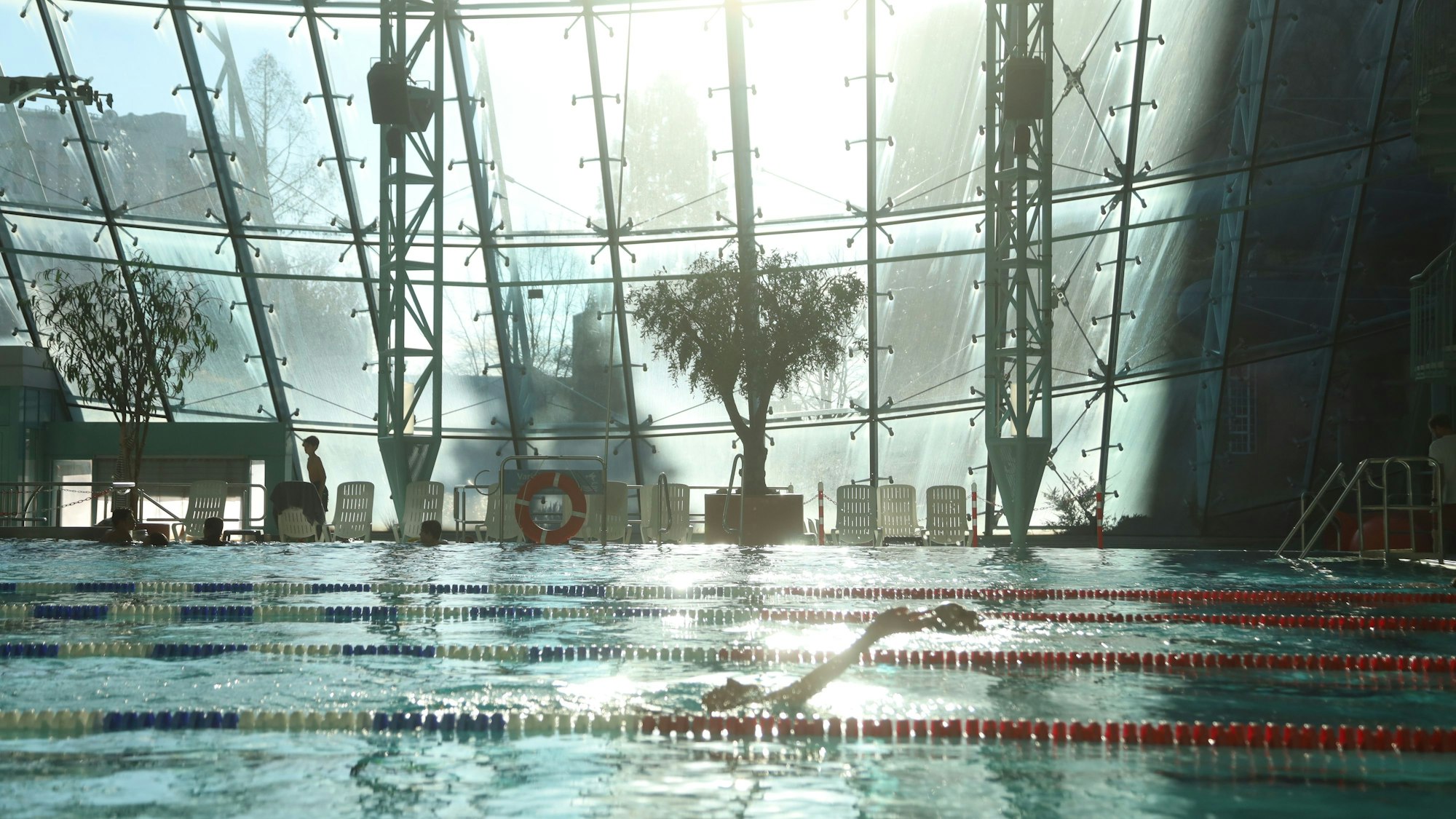 Olivenbäume und sogar eine Palme (nicht im Bild): An Sonnentagen umweht das Aggrippabad ein großer Hauch von Süden.