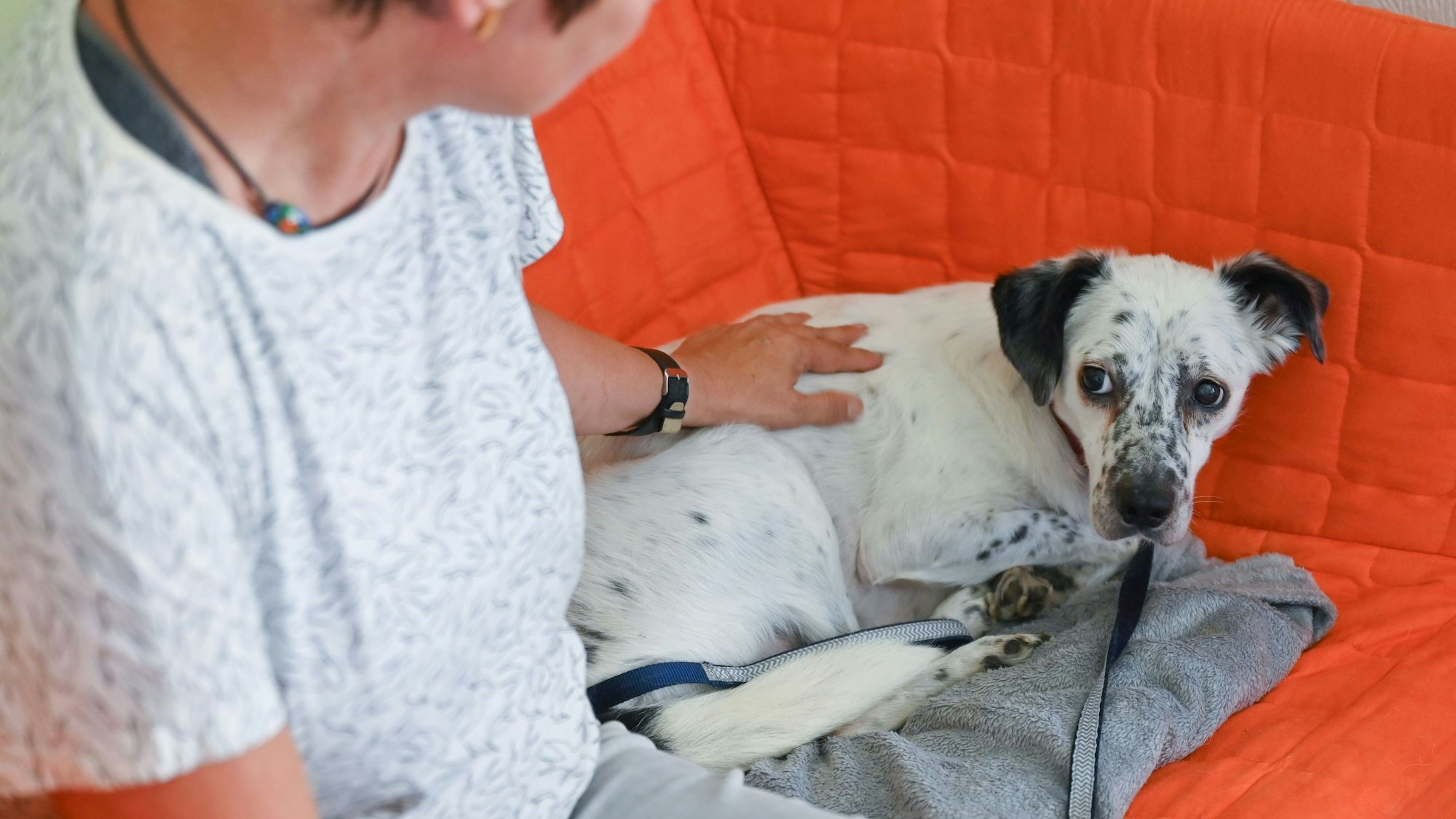 Antje Krause-Neufeld, Hundetrainerin, mit sehr ängstlichen Hund «Pünkti Anton» auf ihrem Angsthundehof im Oderbruch.