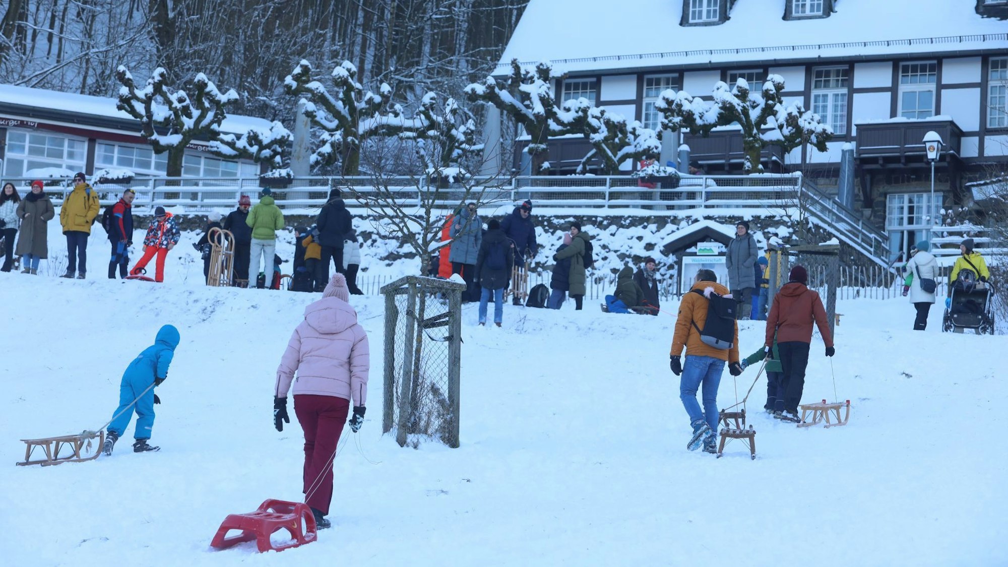Beliebt bei Rodlern ist der Hang unterhalb des Löwenburger Hofs im siebengebirge bei Königswinter - auch wandern kann man hier hervorragend.