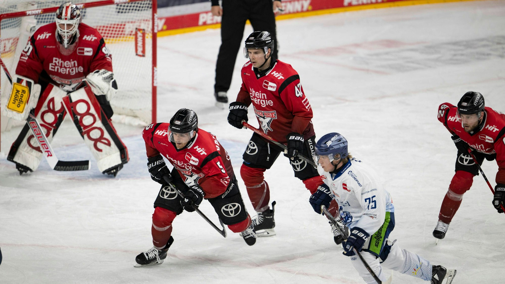 Die Kölner Haie (in Rot) haben gegen die Straubing Tigers gewonnen.