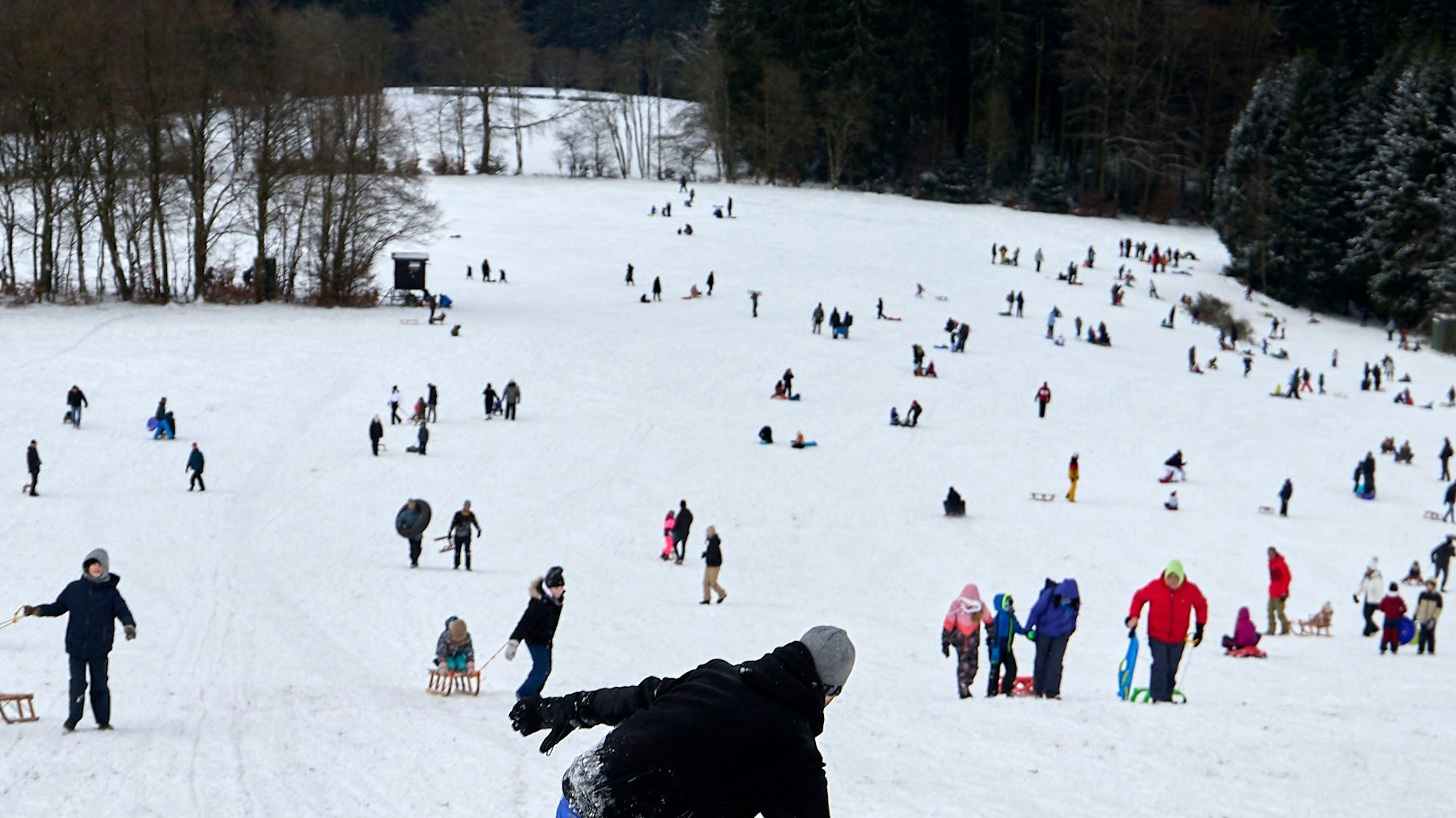 Zu sehen sind einige Menschen mit Schlitten an einem Hang.