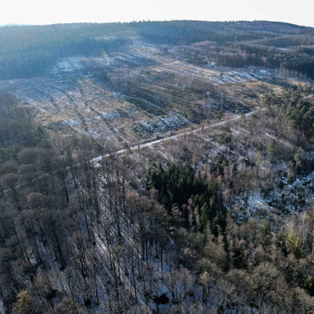 Das Luftbild einer Drohne zeigt eine Waldfläche bei Arloff mit Blick in Richtung Bad Münstereifel.
