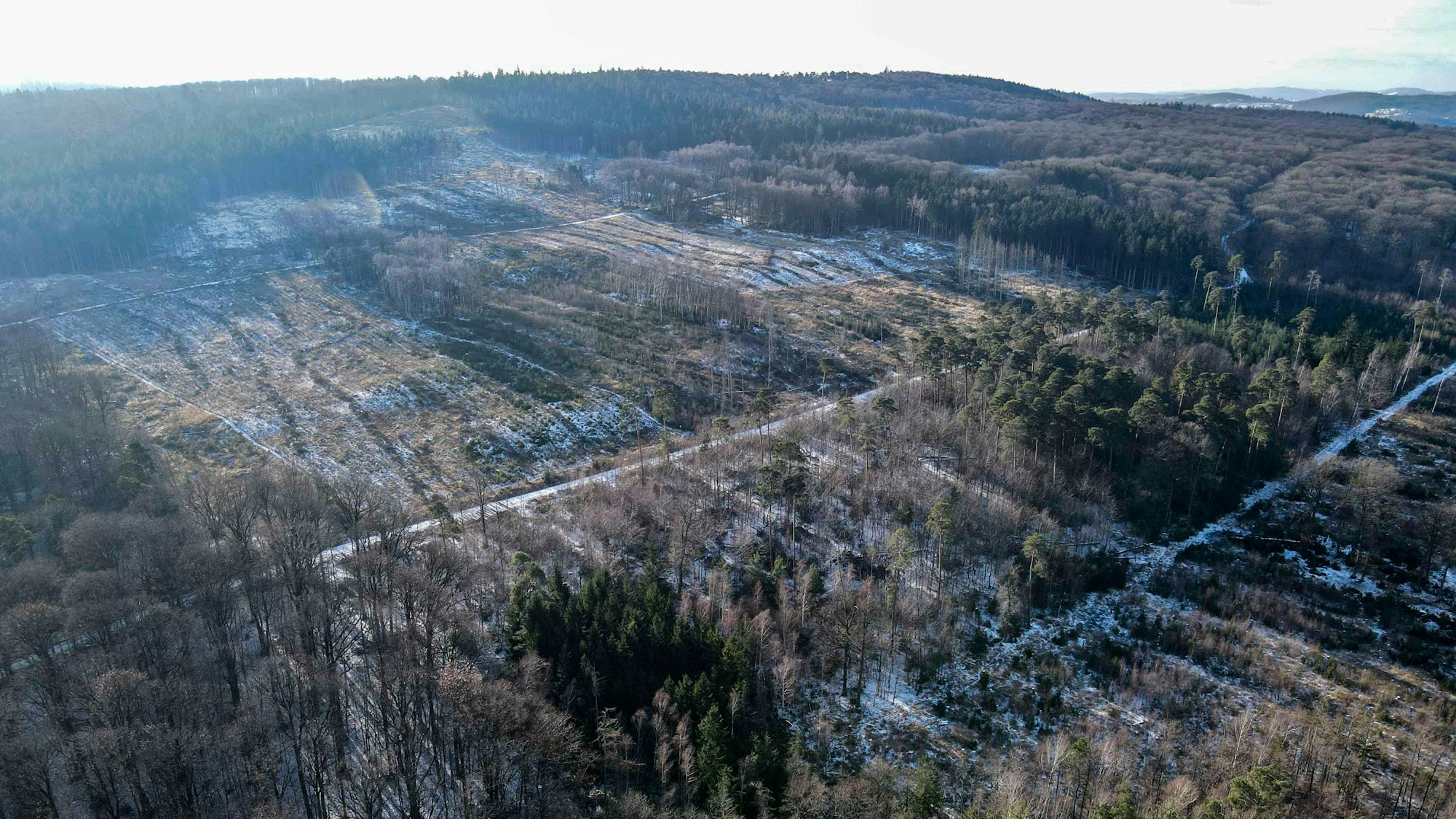 Das Luftbild einer Drohne zeigt eine Waldfläche bei Arloff mit Blick in Richtung Bad Münstereifel.
