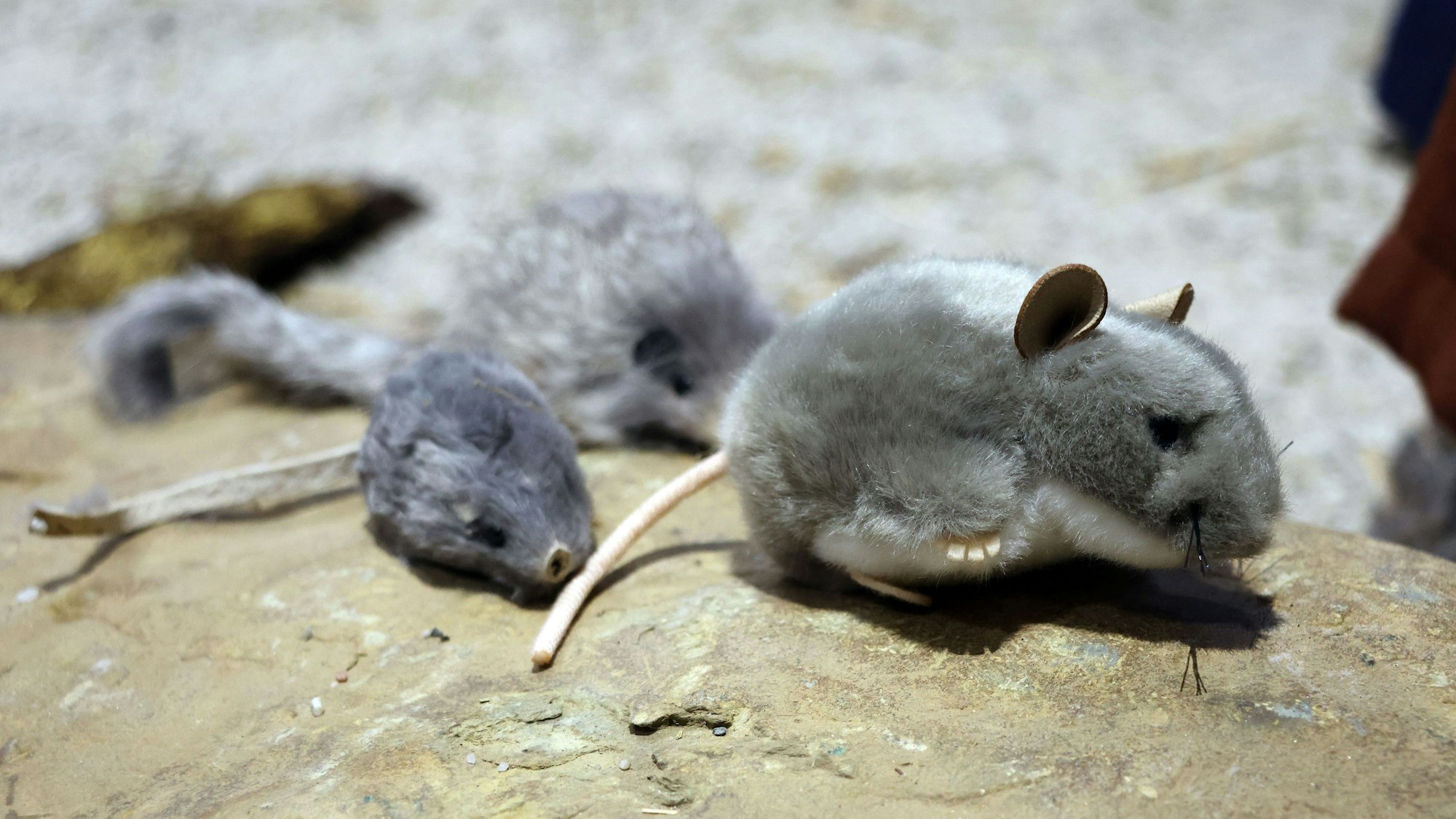 Auf dem Bild sind drei Stoffmäuse zu sehen.