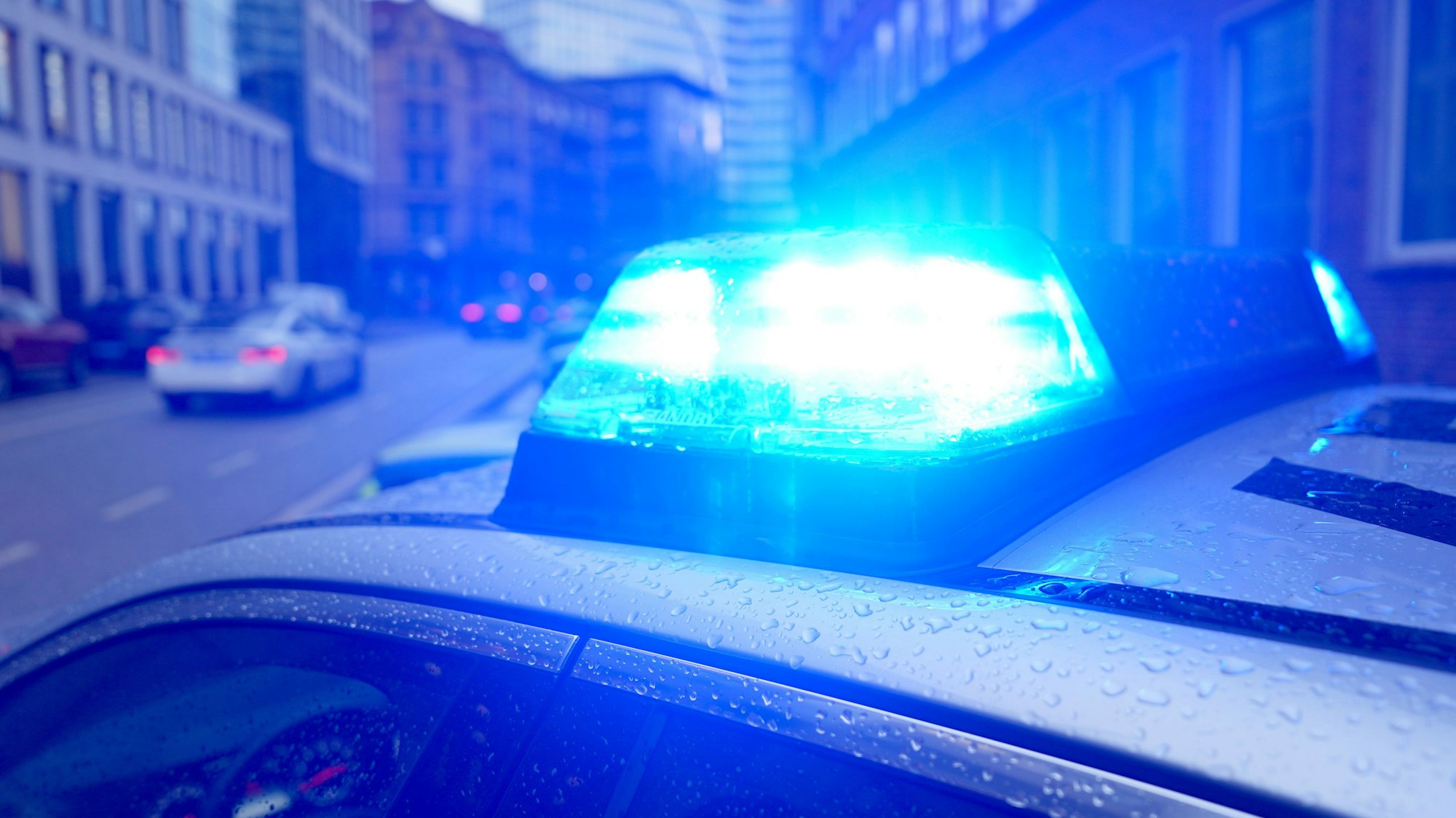 Ein Blaulicht leuchtet auf dem Dach eines Polizeiautos.