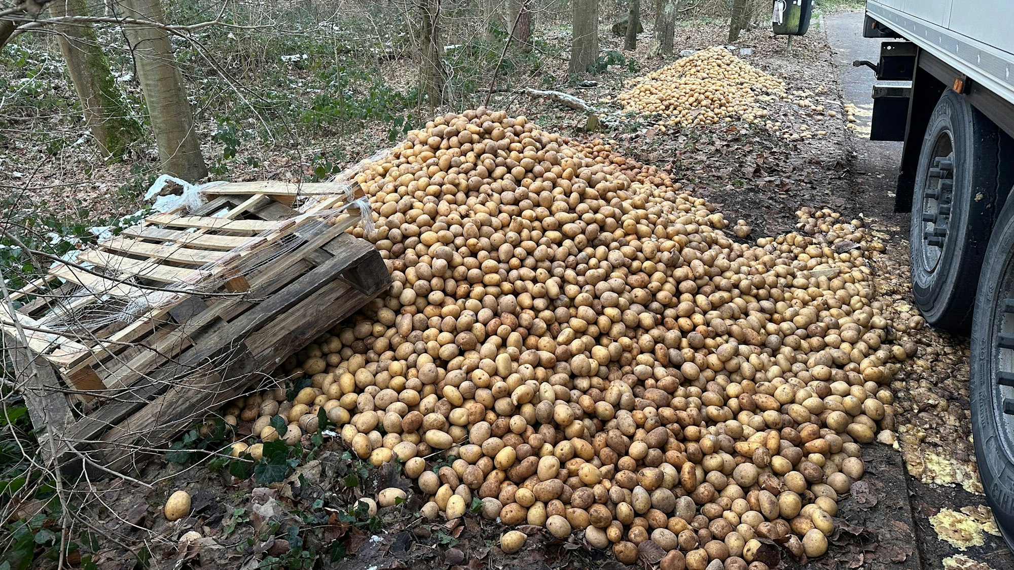 Eine große Menge Kartoffeln liegt neben Lastwagenreifen.