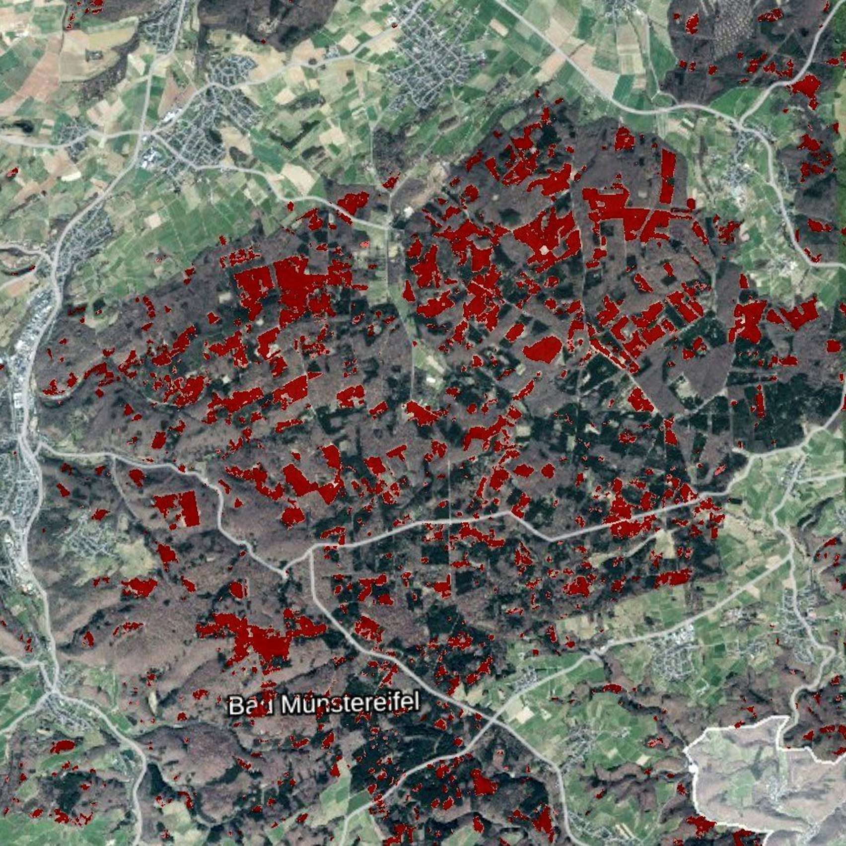 Die Karte zeigt sehr viel rot dargestellte Kalamitätsflächen im Bad Münstereifel Forst.
