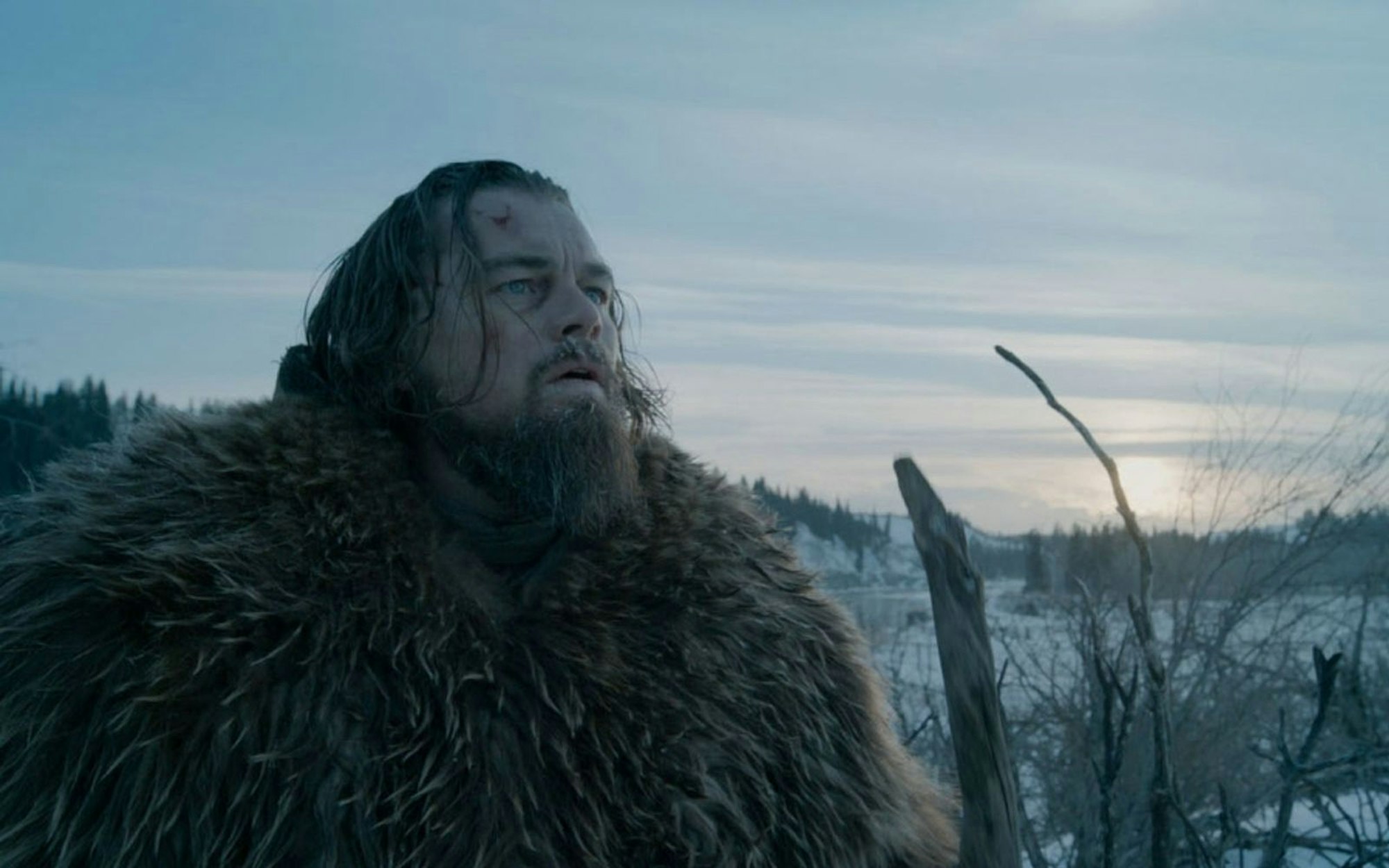 Für seine strapaziöse Rolle im Western-Drama „The Revenant - Der Rückkehrer“ (Bild) erhielt Leonardo DiCaprio endlich den verdienten Oscar. (Bild: Fox)