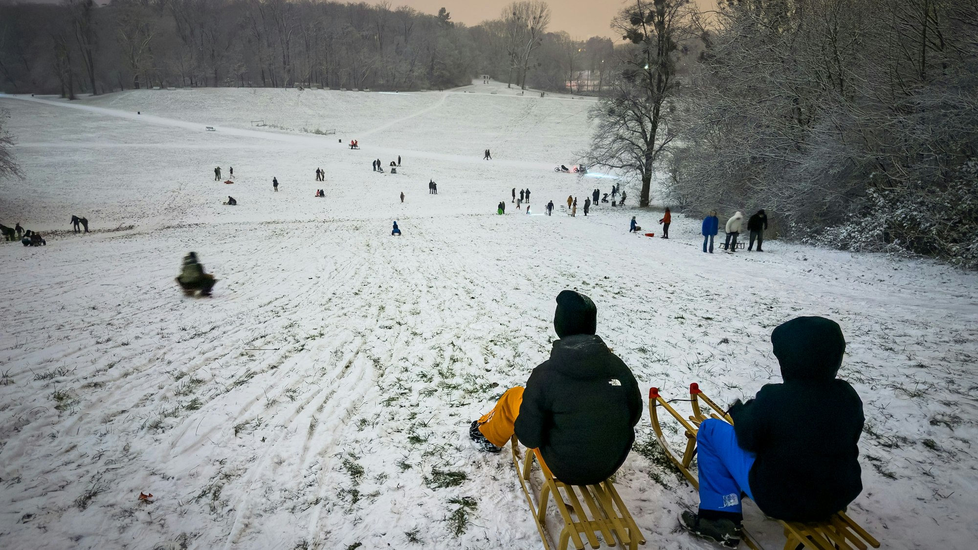 Kinder rodeln auf Schlitten im Beethovenpark den Pilzberg hinab.