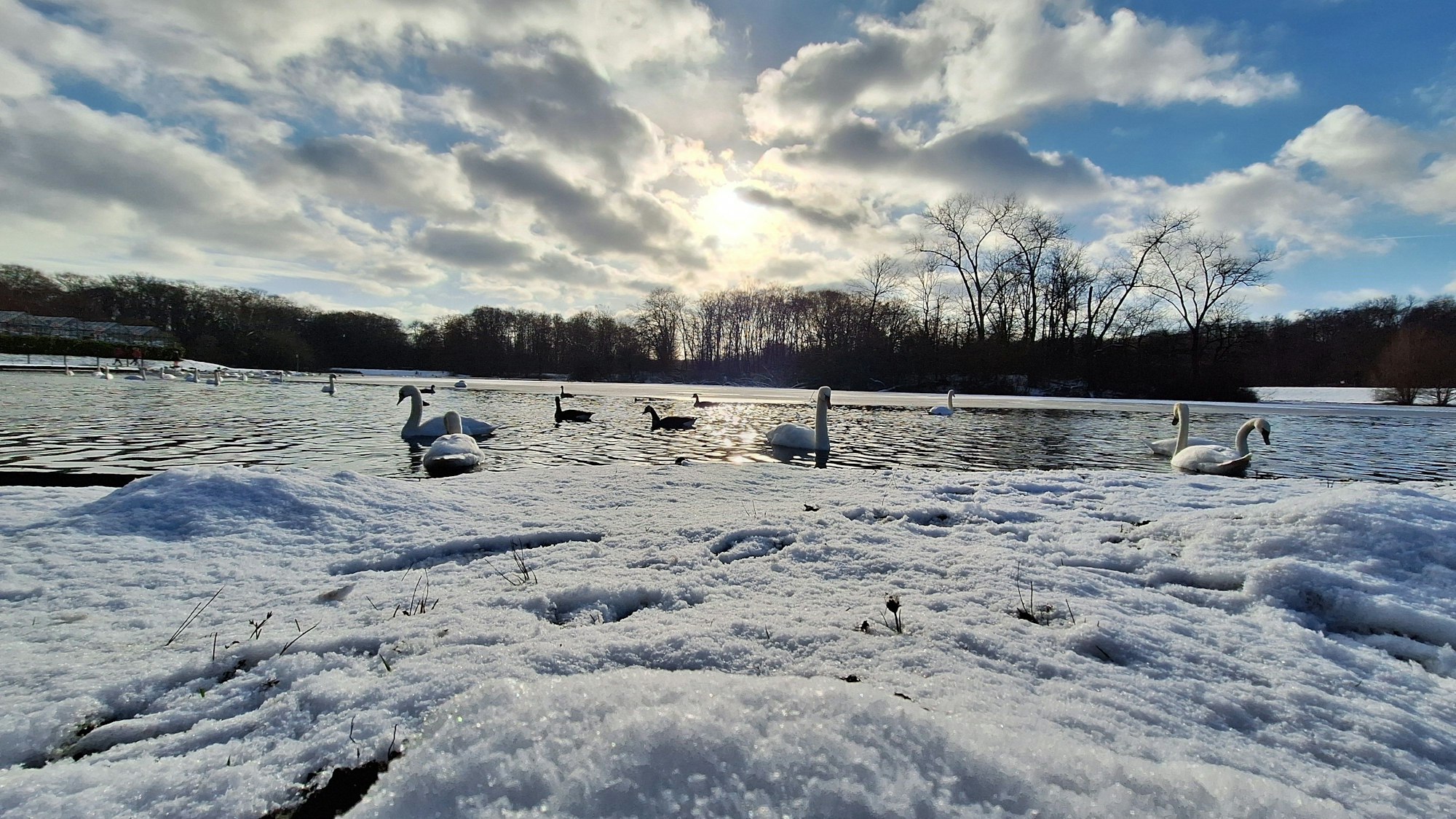 Die Wintersonne scheint auf den Decksteiner Weiher.