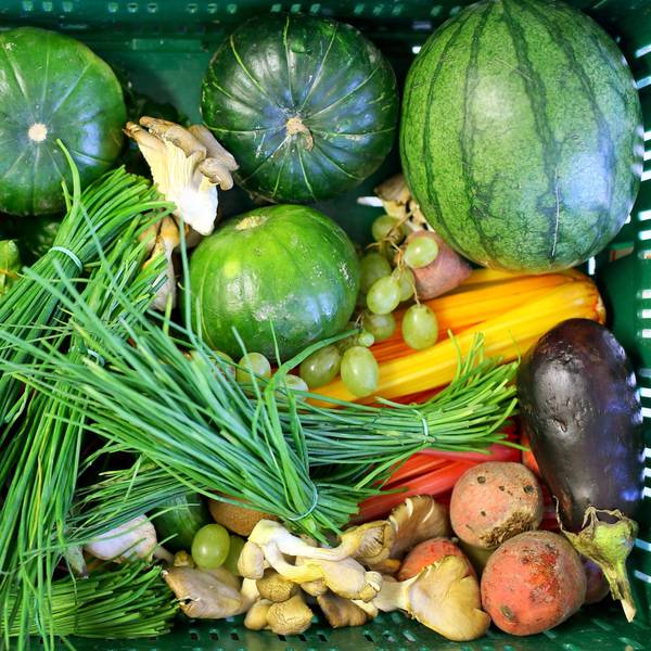 In der Küche eines Biohofes steht eine Kiste mit frischem Gemüse.