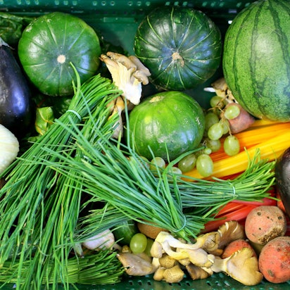 In der Küche eines Biohofes steht eine Kiste mit frischem Gemüse.