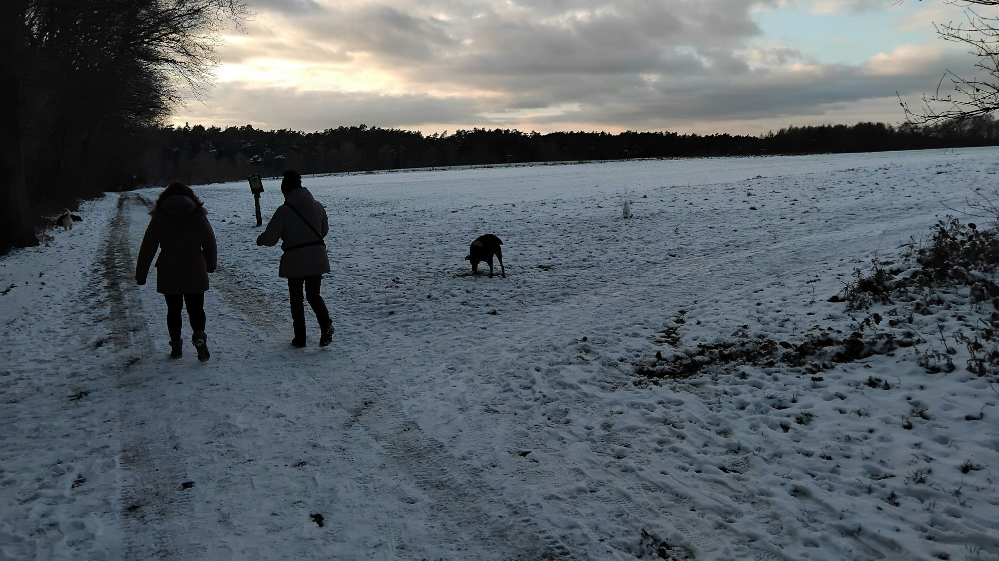 Durchatmen in klarer Luft: Die Schneedecke reichte in Lohmar-Heide noch nicht fürs Rodeln.